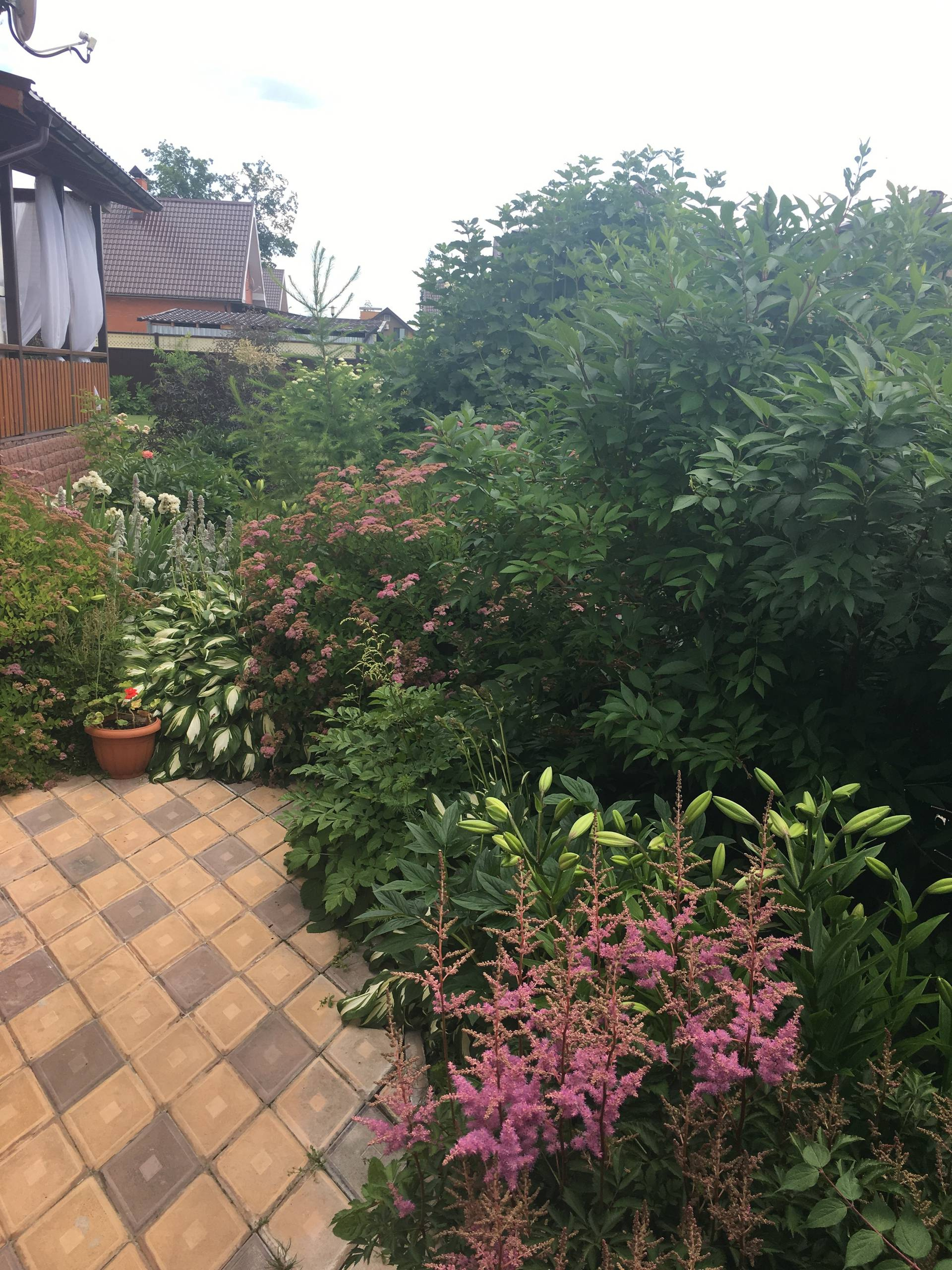 Личный опыт: Как перевезти взрослый сад на другое место