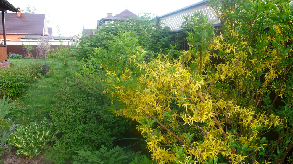 Личный опыт: Как перевезти взрослый сад на другое место