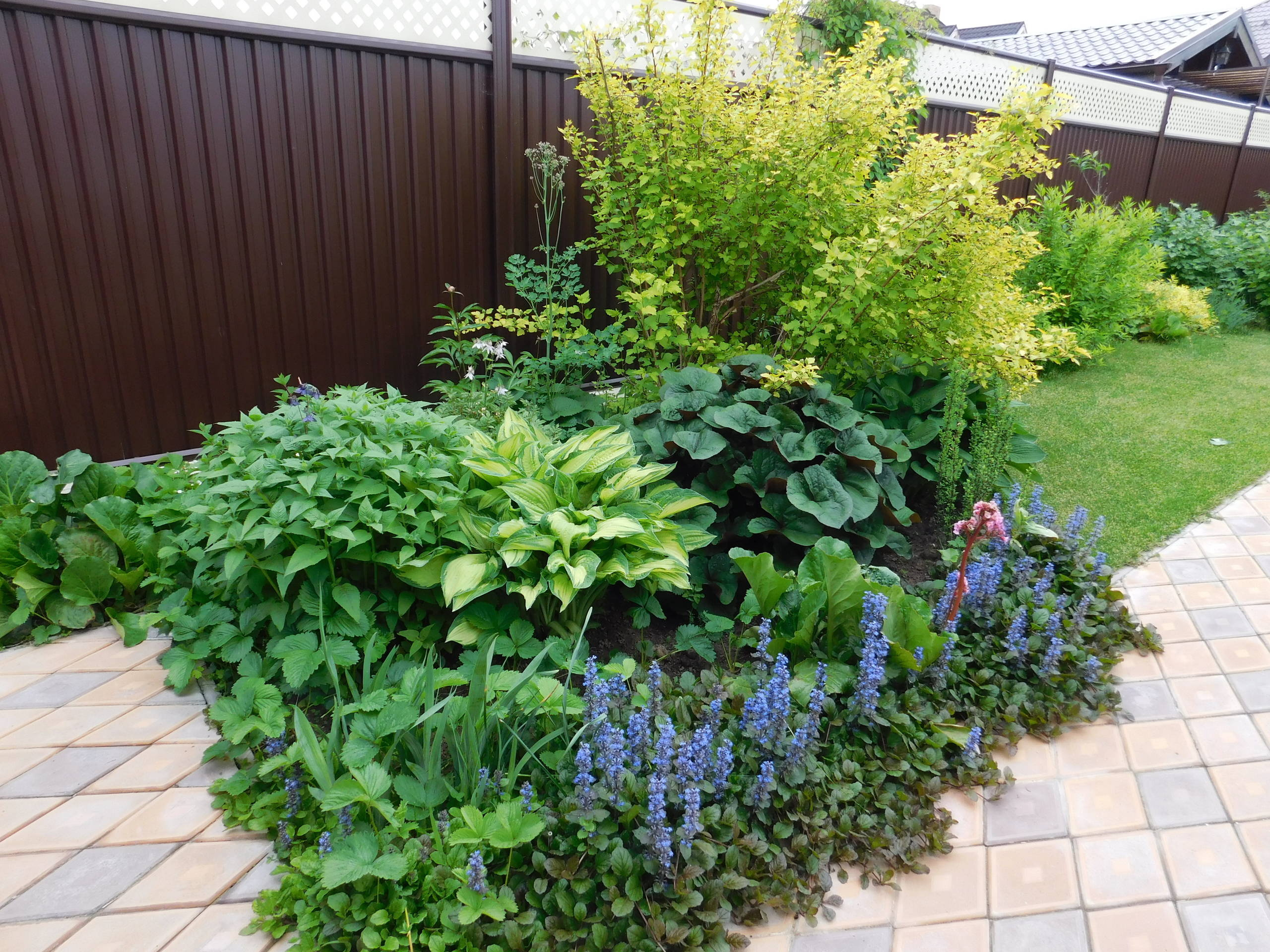 Личный опыт: Как перевезти взрослый сад на другое место