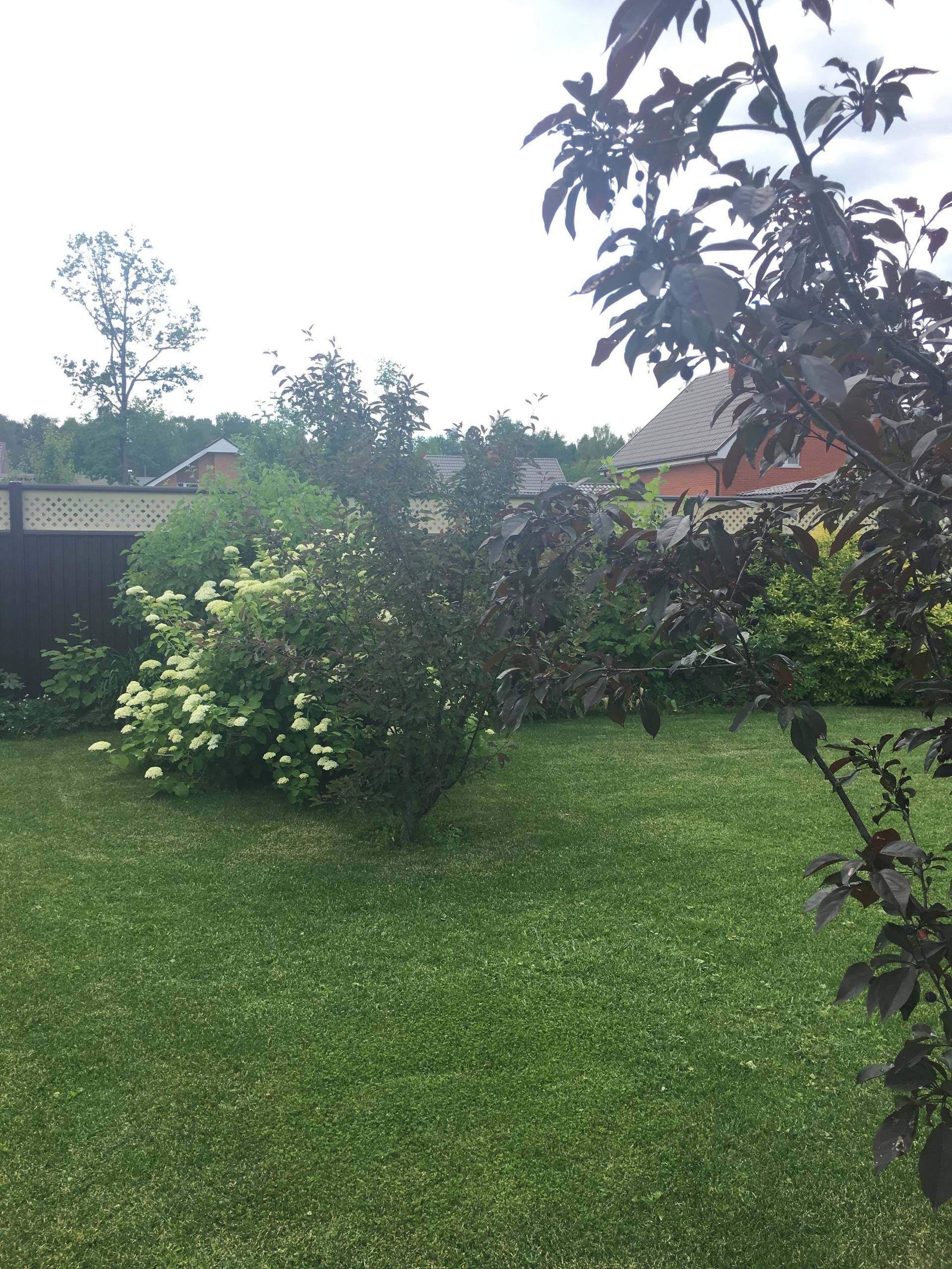 Личный опыт: Как перевезти взрослый сад на другое место