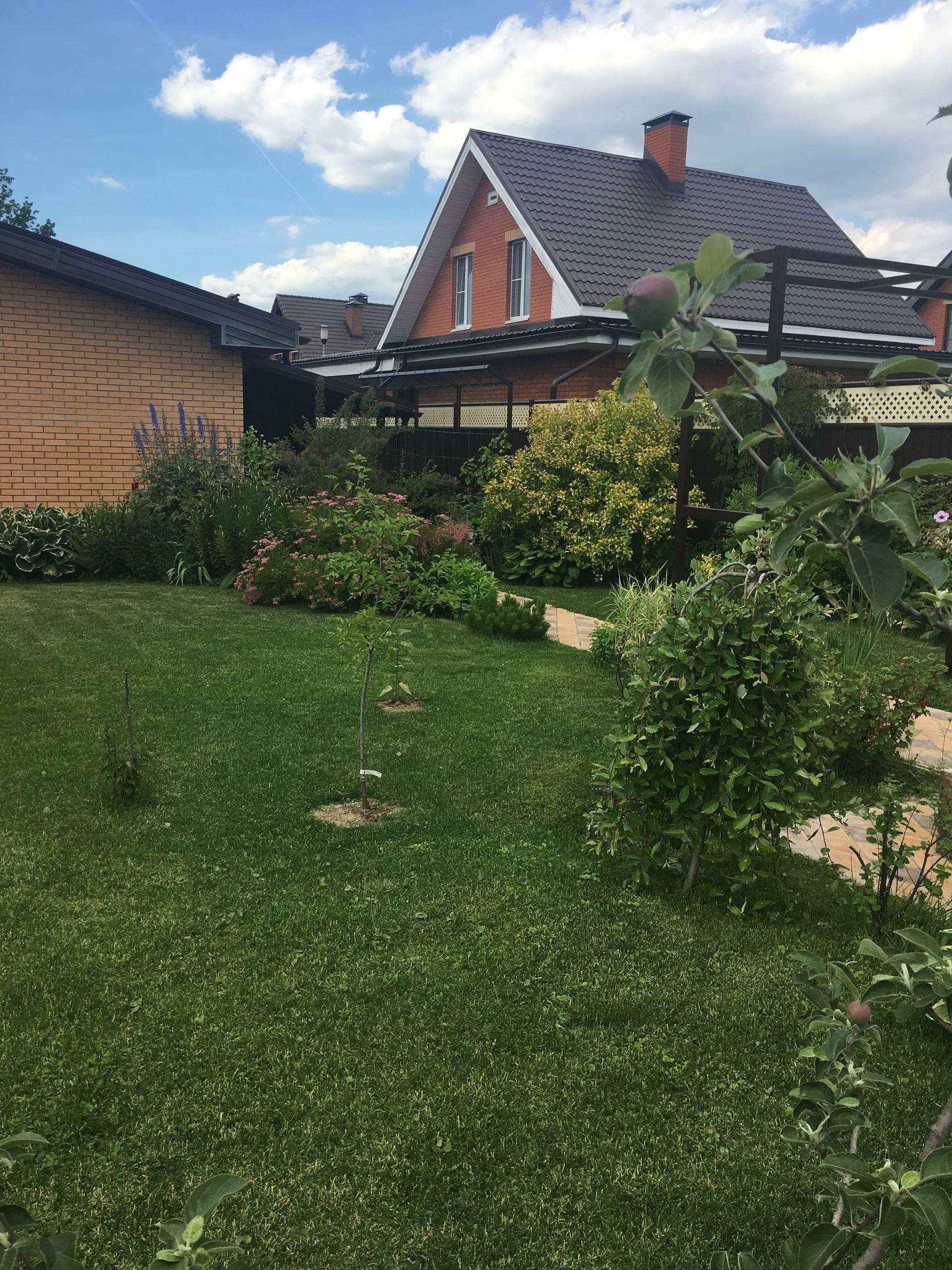 Личный опыт: Как перевезти взрослый сад на другое место