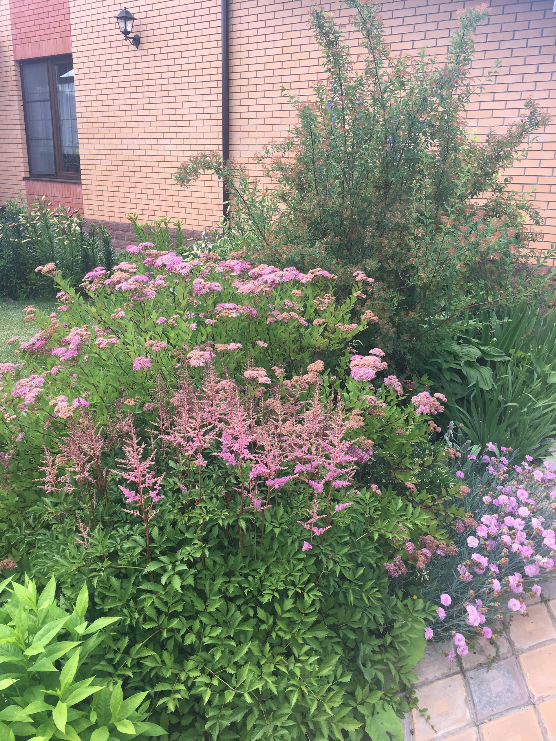 Личный опыт: Как перевезти взрослый сад на другое место