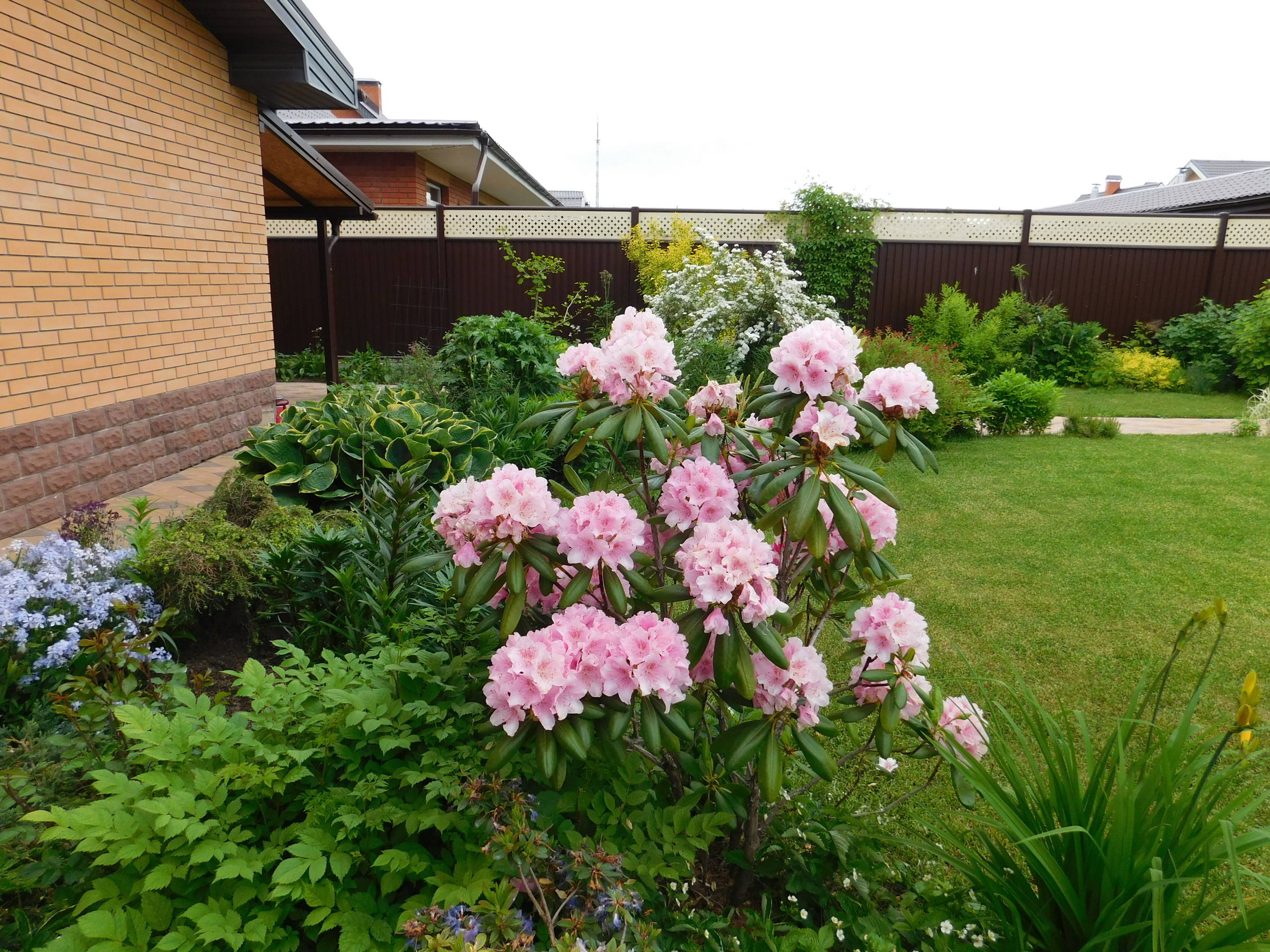 Личный опыт: Как перевезти взрослый сад на другое место