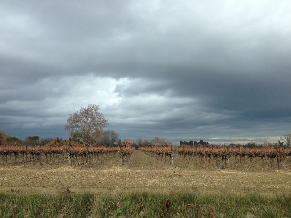 Houzz Франция: Сельский дом в Провансе