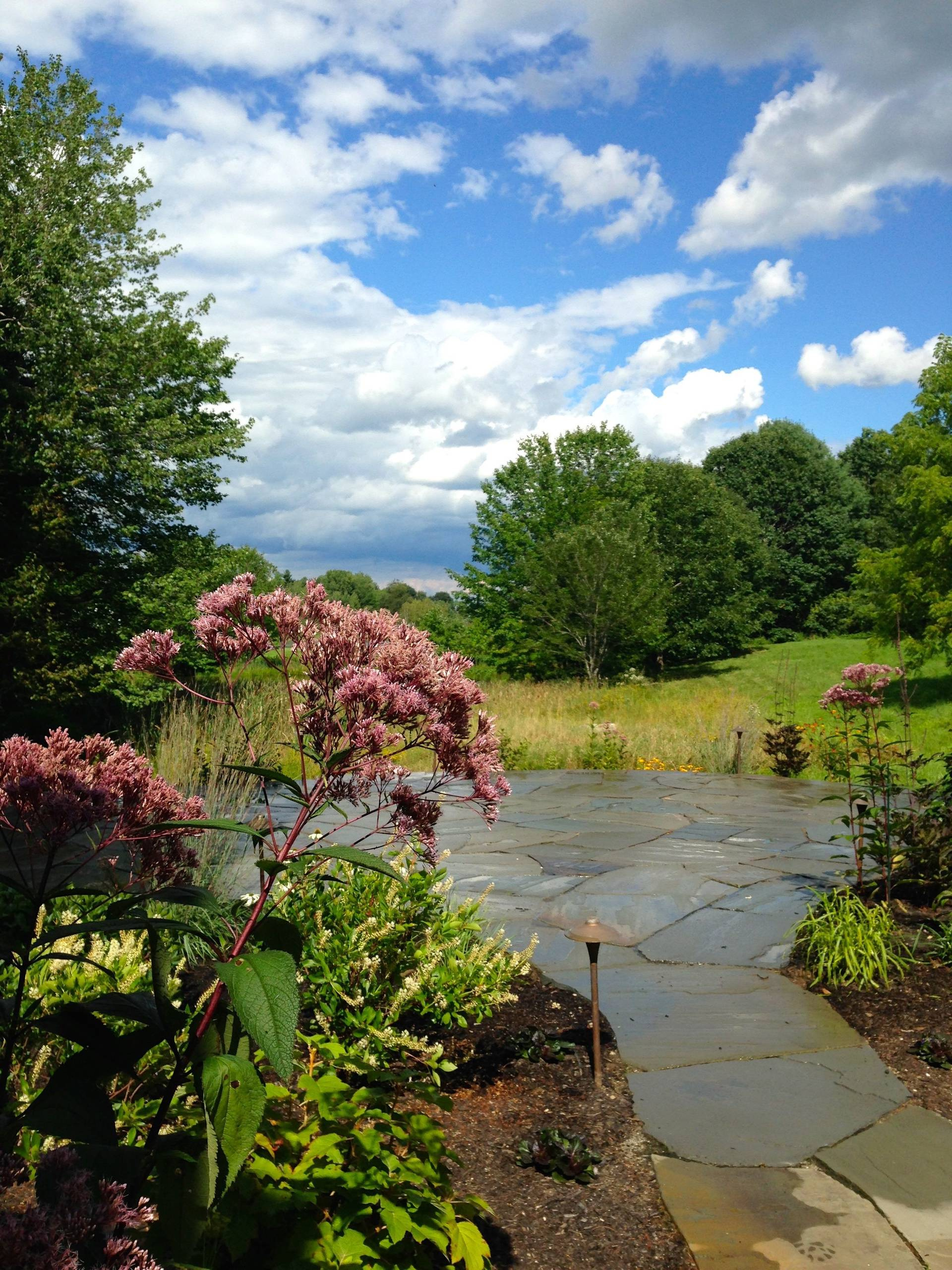 Северный сад: Особенности участка в холодном климате