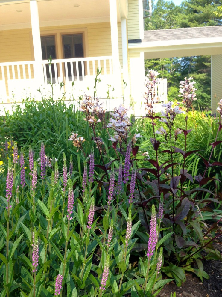 Северный сад: Особенности участка в холодном климате