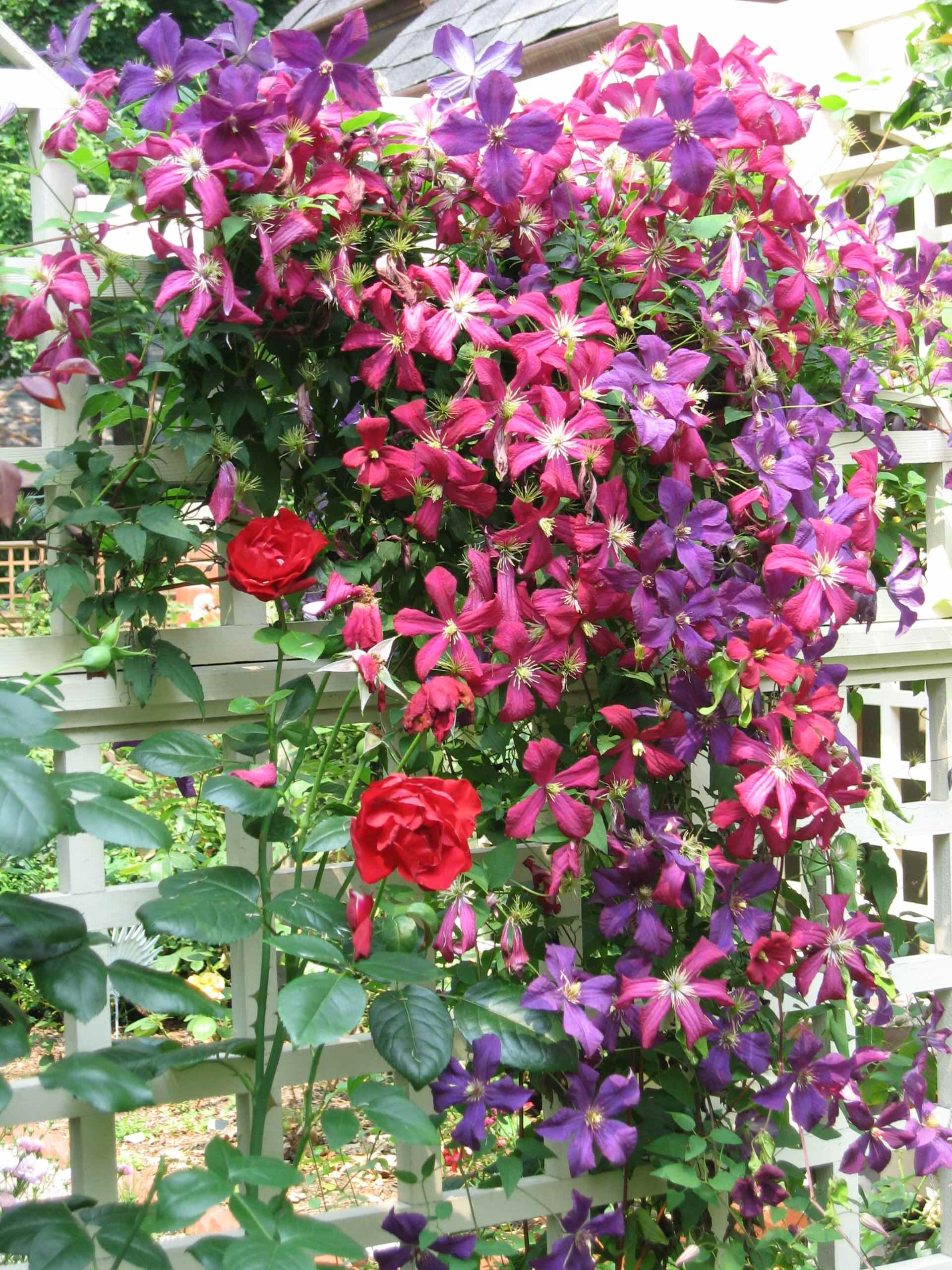 Растим арки — большие и маленькие