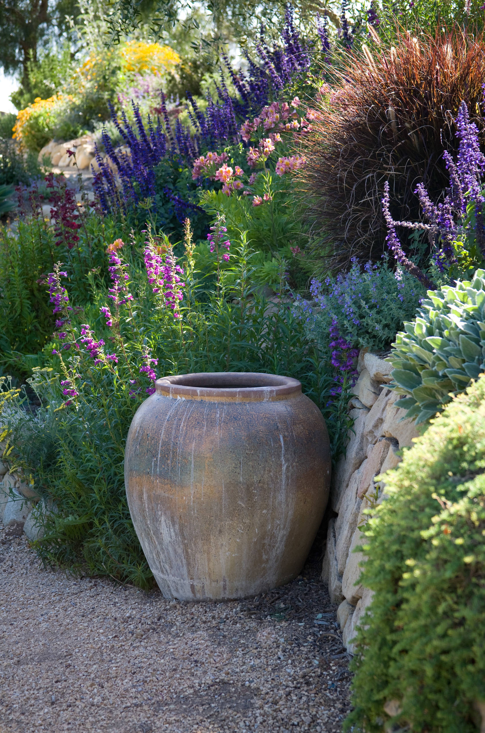 Выход на замену: Чем заменить виды, которые у нас не растут