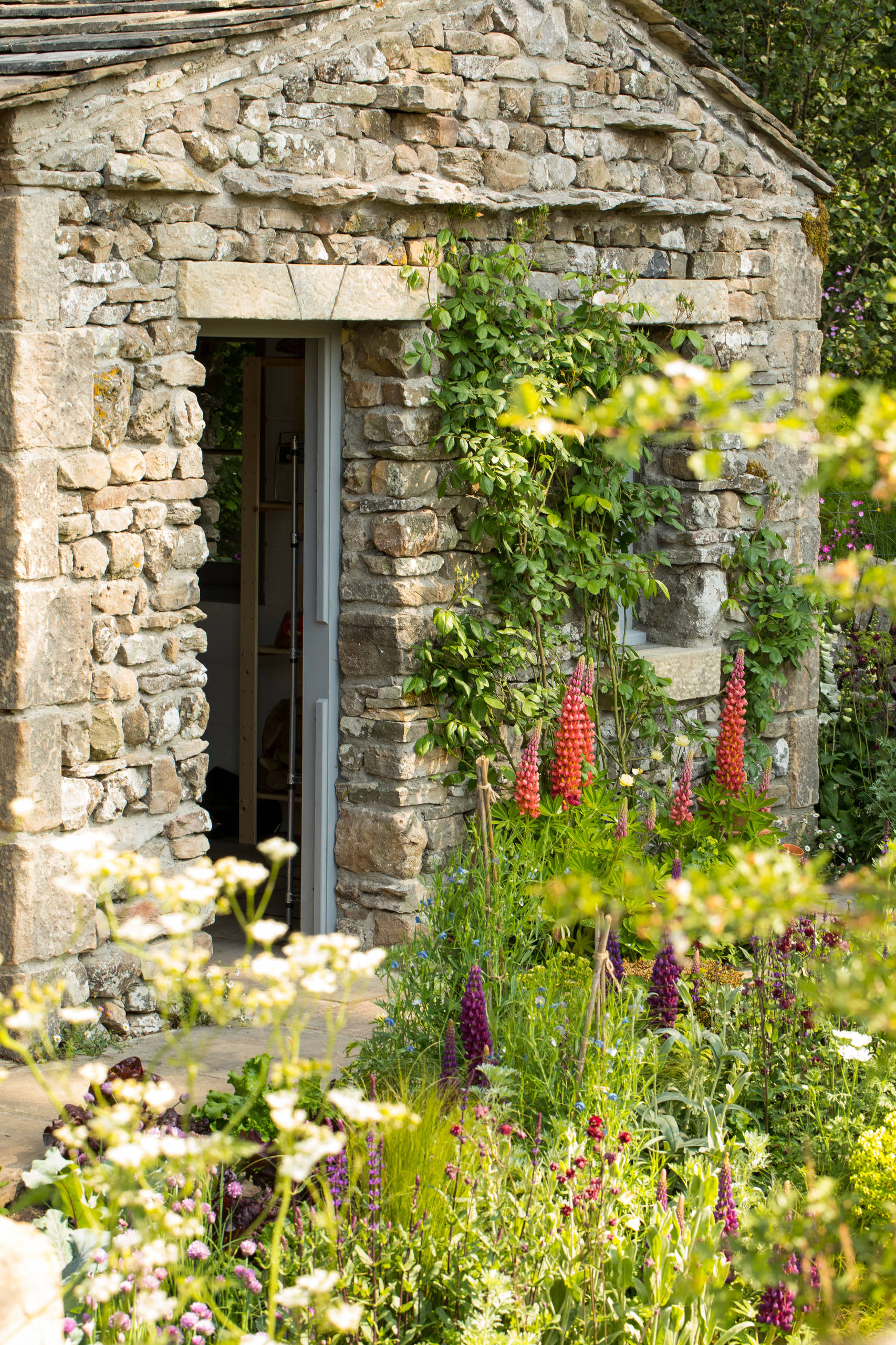 Проект недели: Маленький городской сад с выставки в Челси