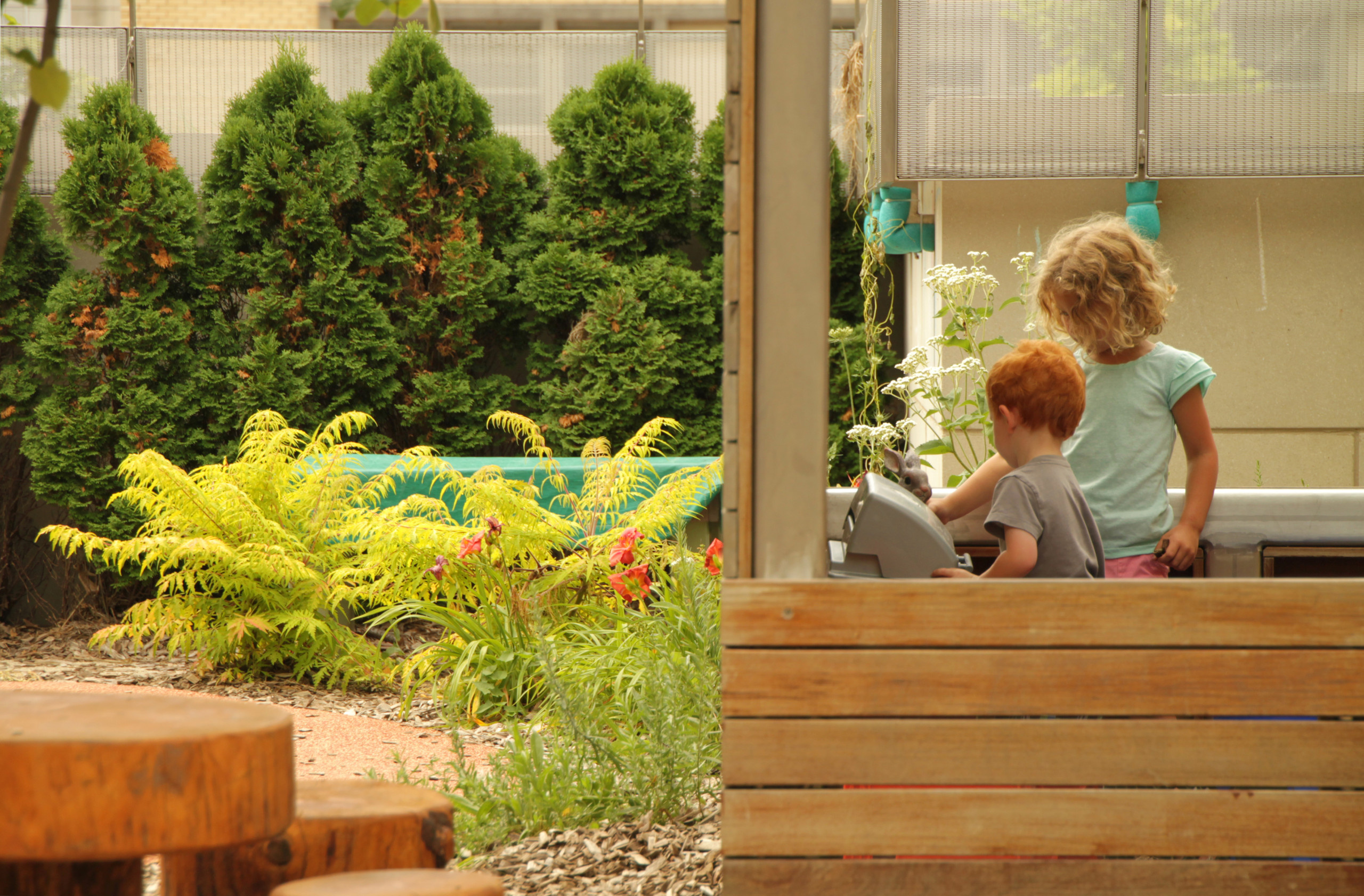 Хороший вопрос: Какие ядовитые растения (возможно) растут в вашем саду