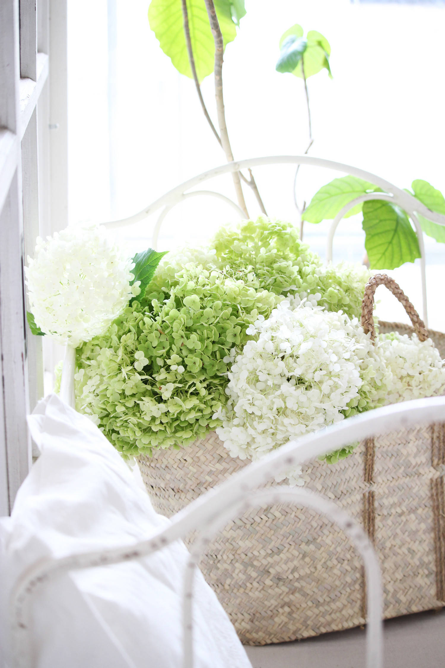 Своими руками: Подвесной букет из пышных гортензий