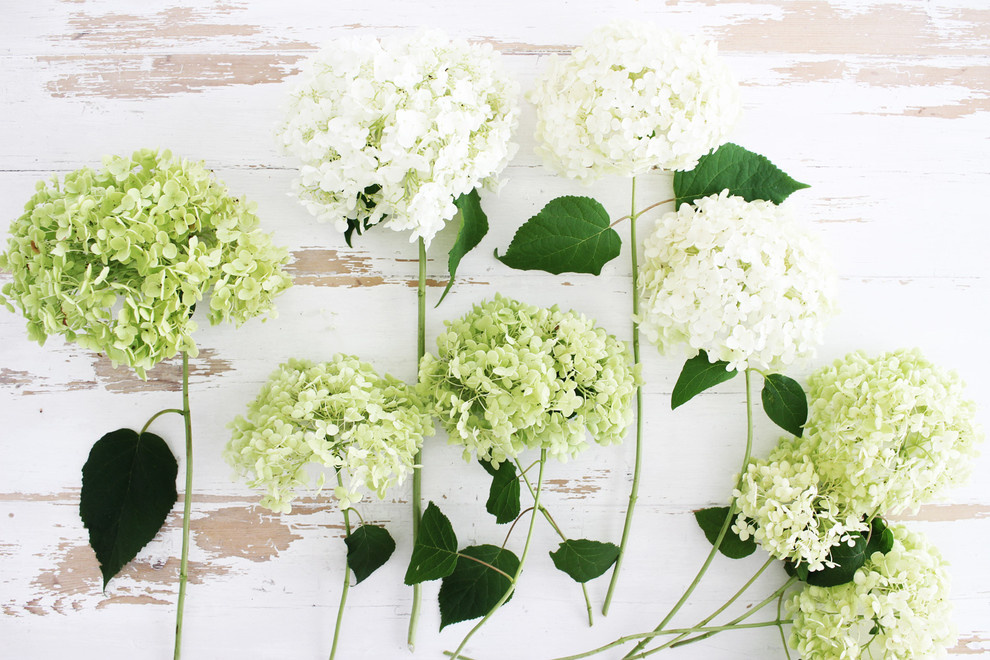 Своими руками: Подвесной букет из пышных гортензий