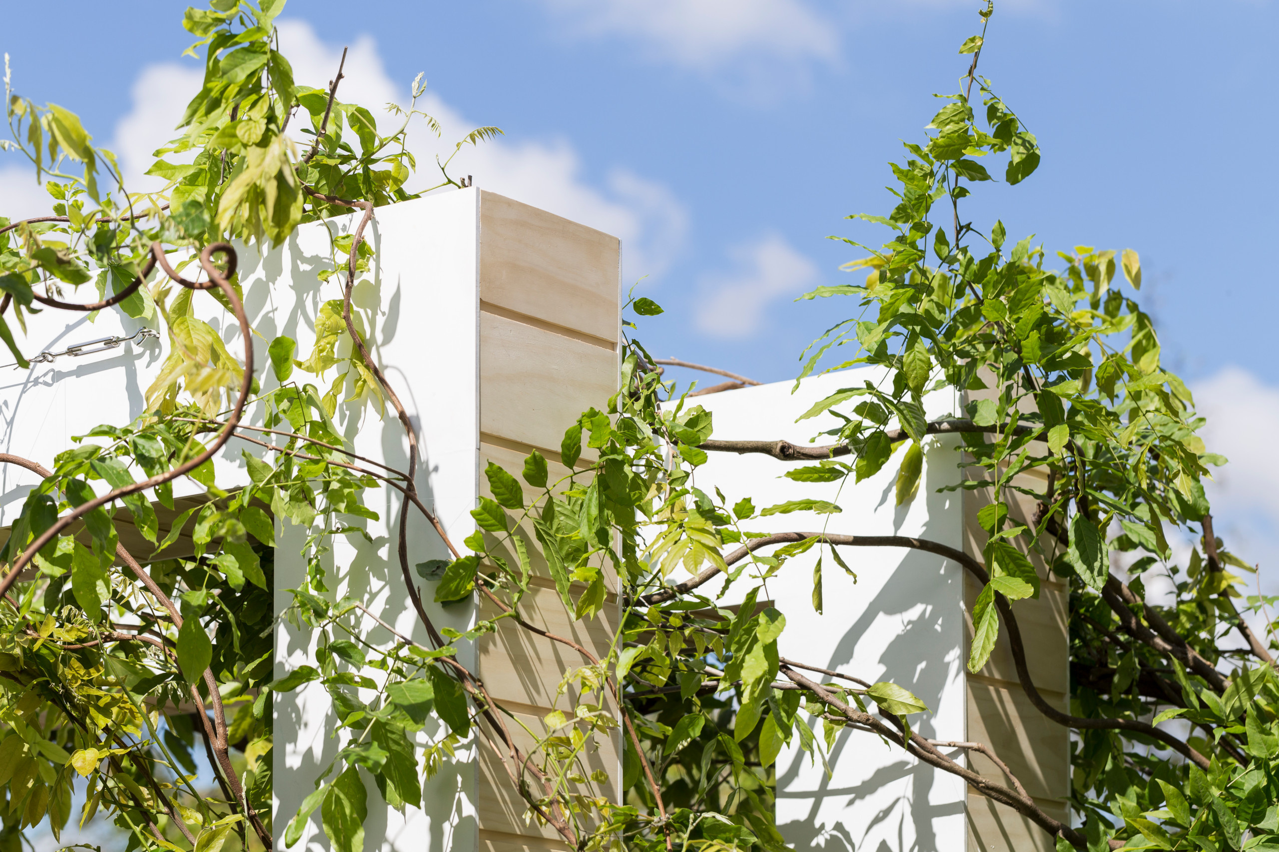 Выставка в Челси: Умный сад в скандинавском стиле