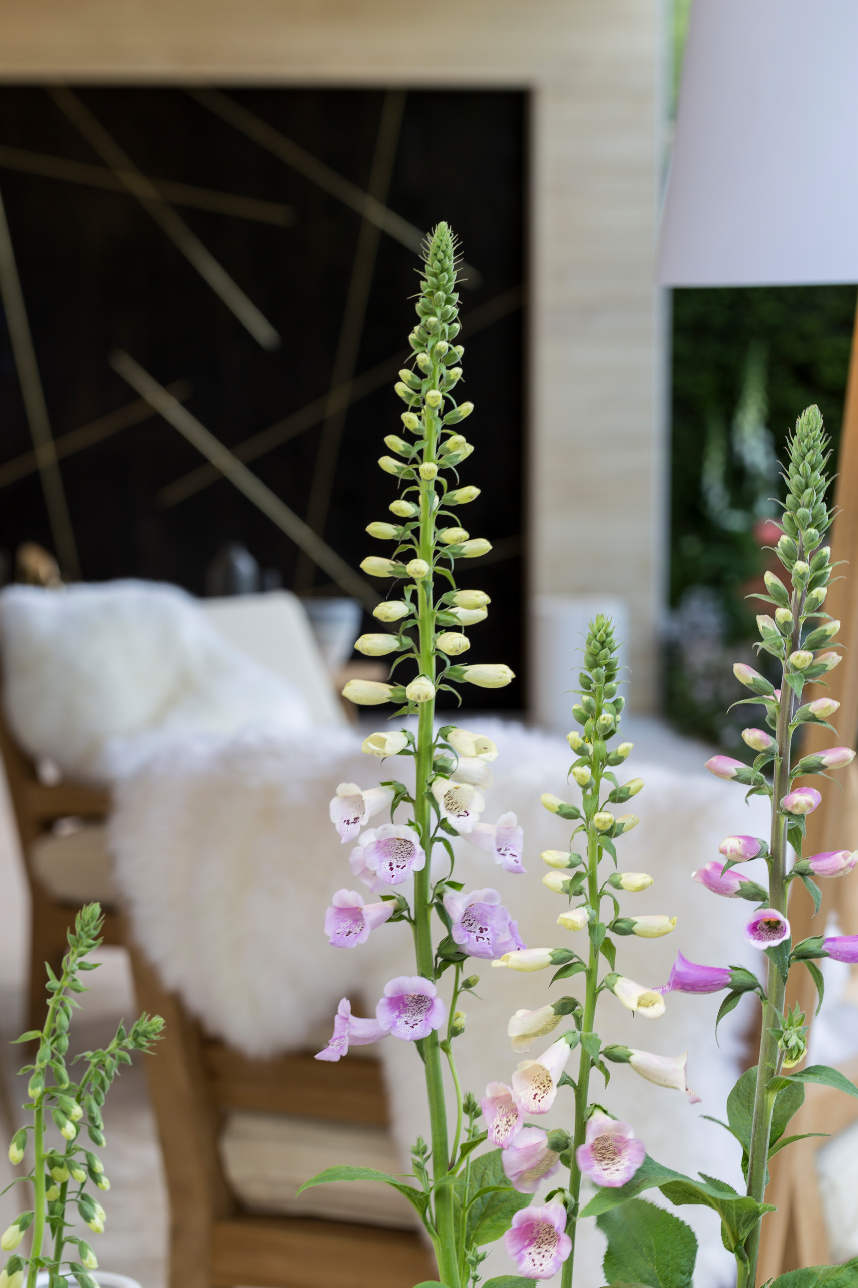 Выставка в Челси: Умный сад в скандинавском стиле