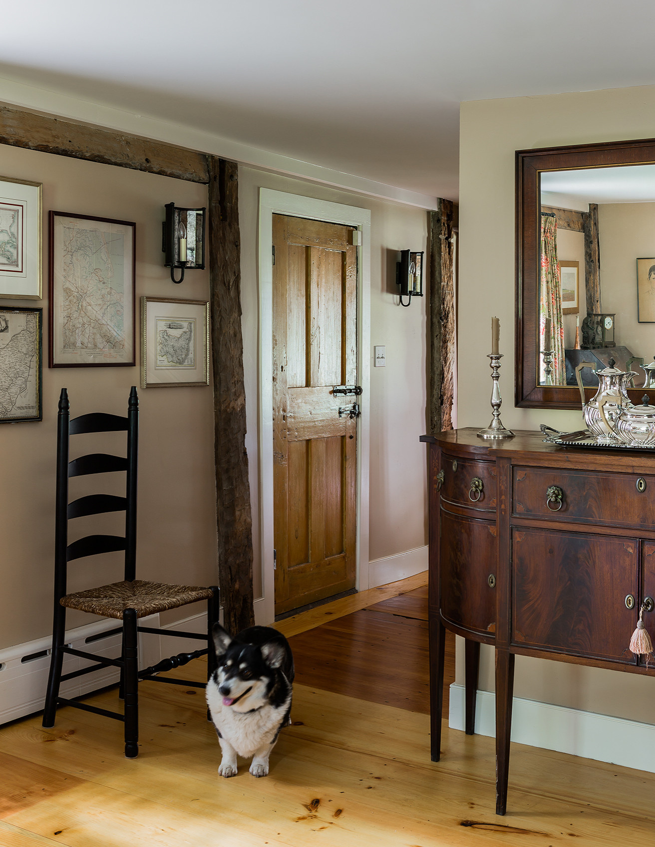 Из одного теста: Домашние животные и интерьеры