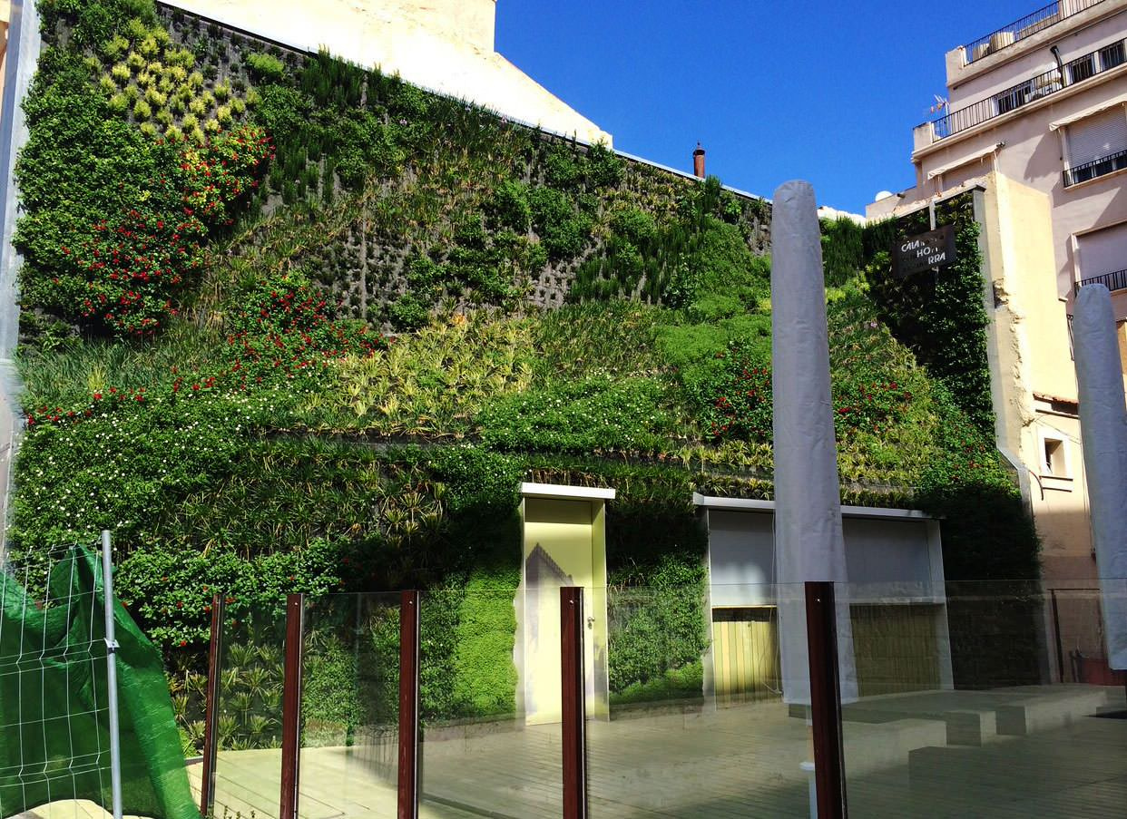 «Зеленые» дома: Что изменит городской пейзаж в будущем