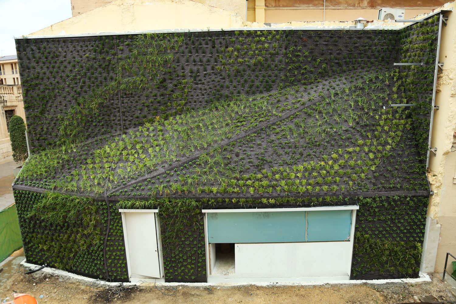 «Зеленые» дома: Что изменит городской пейзаж в будущем