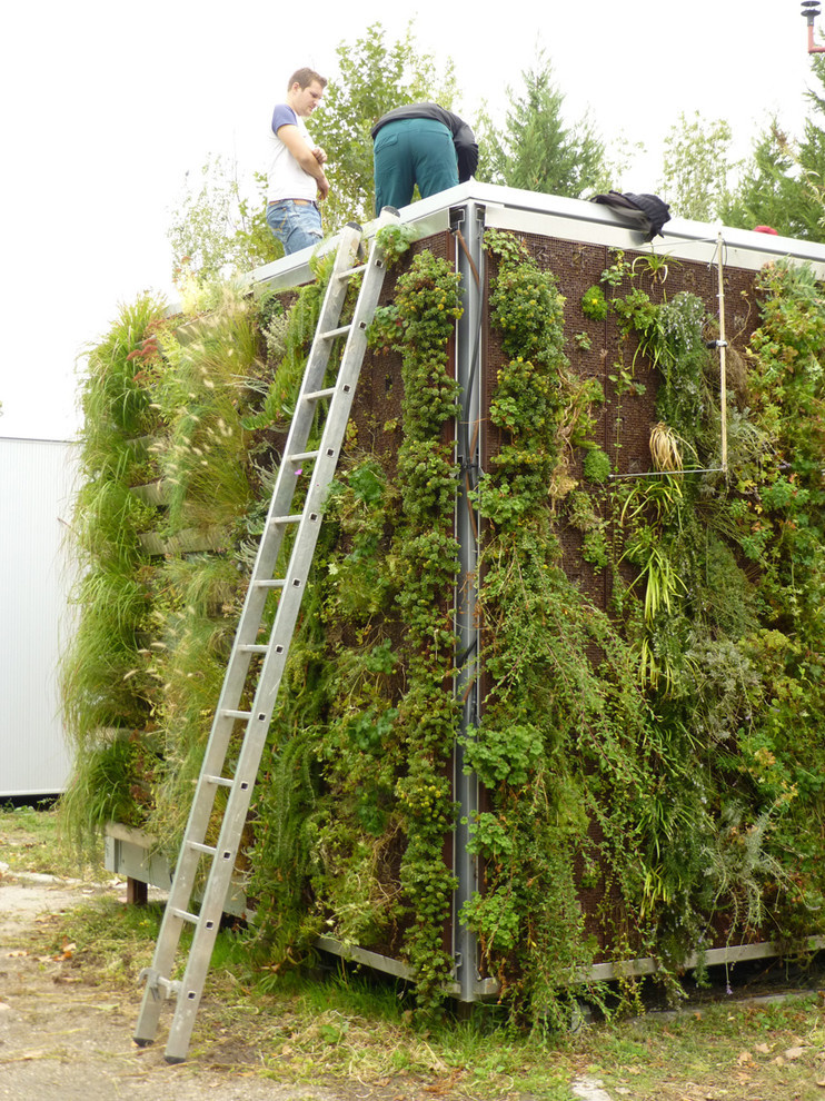 «Зеленые» дома: Что изменит городской пейзаж в будущем