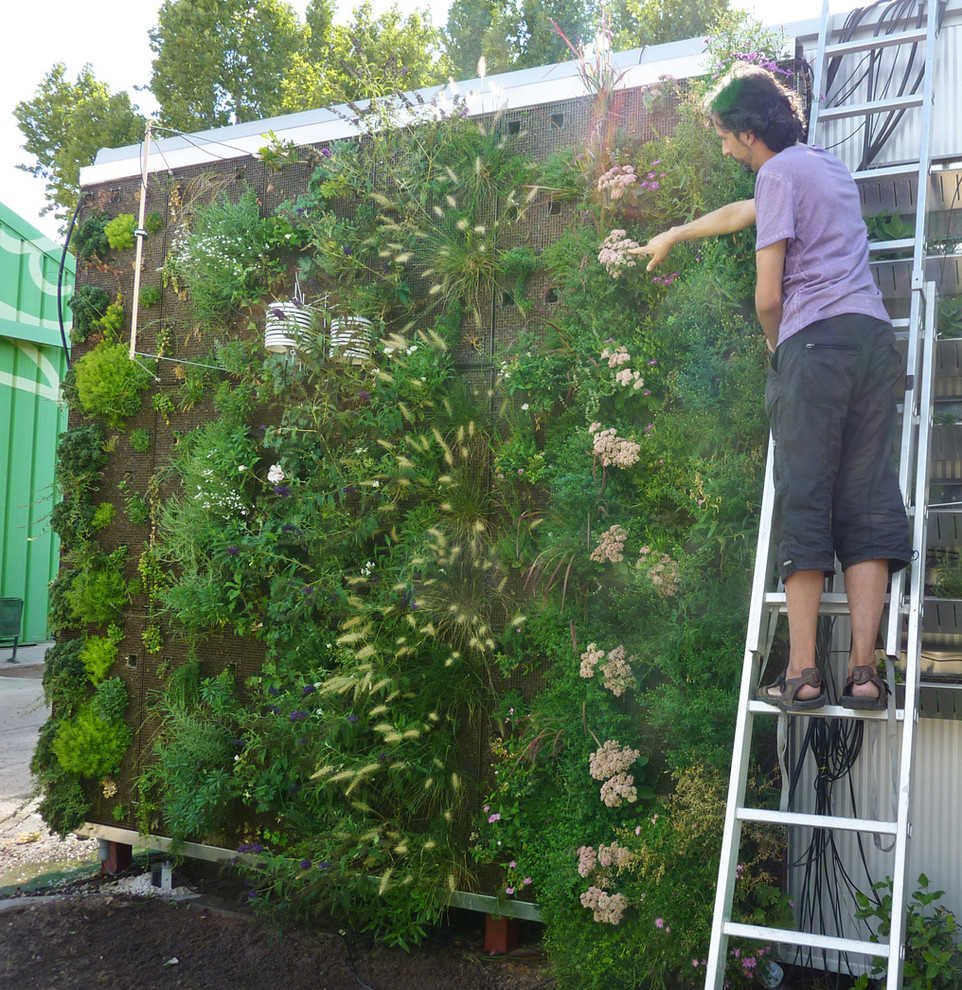 «Зеленые» дома: Что изменит городской пейзаж в будущем