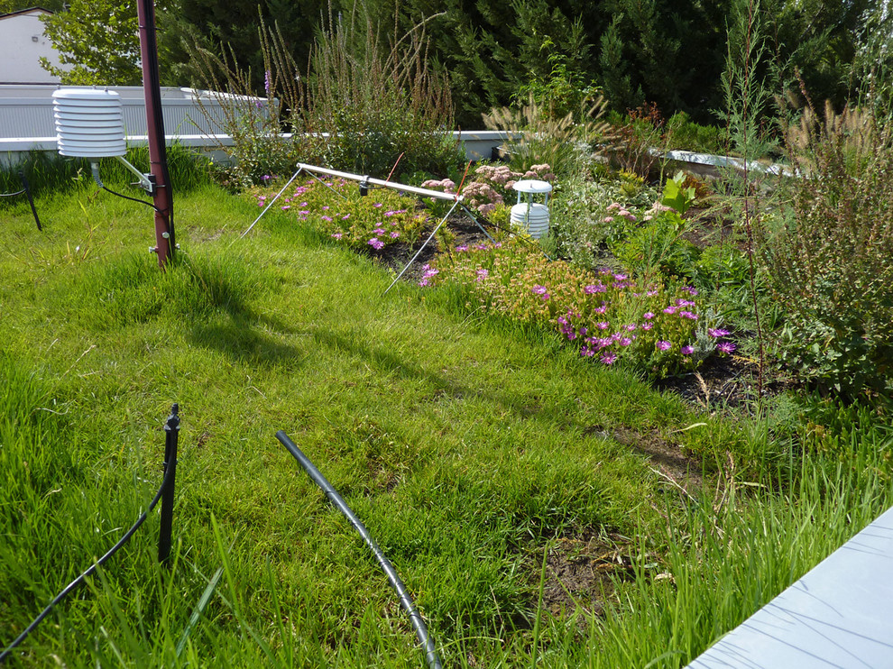 «Зеленые» дома: Что изменит городской пейзаж в будущем