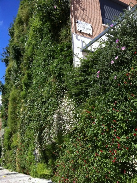 «Зеленые» дома: Что изменит городской пейзаж в будущем