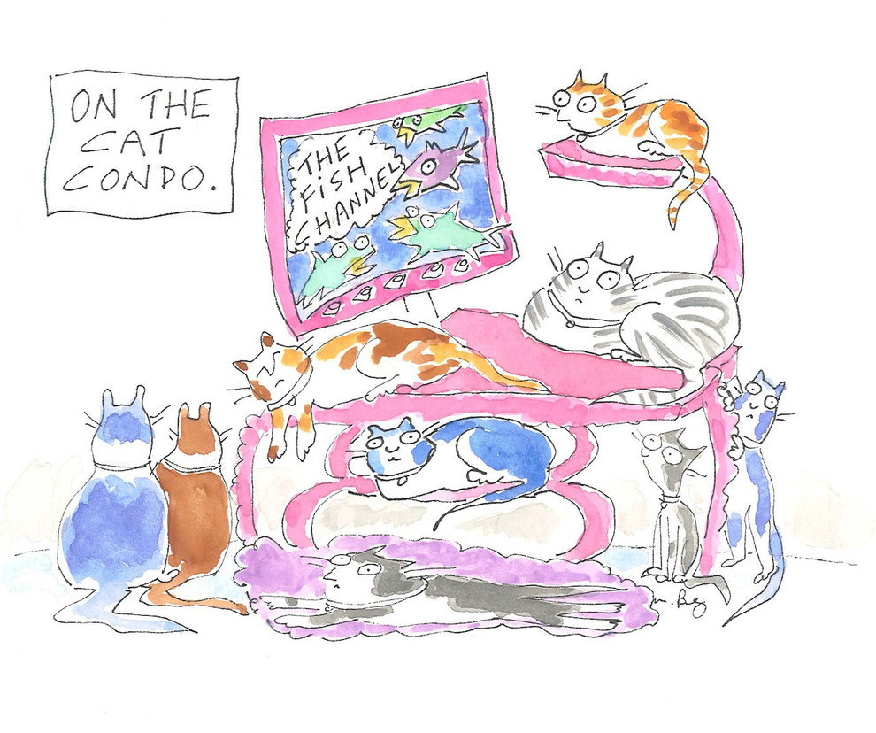 Повышаем котируемость: Простые способы улучшить дом, где есть кошка