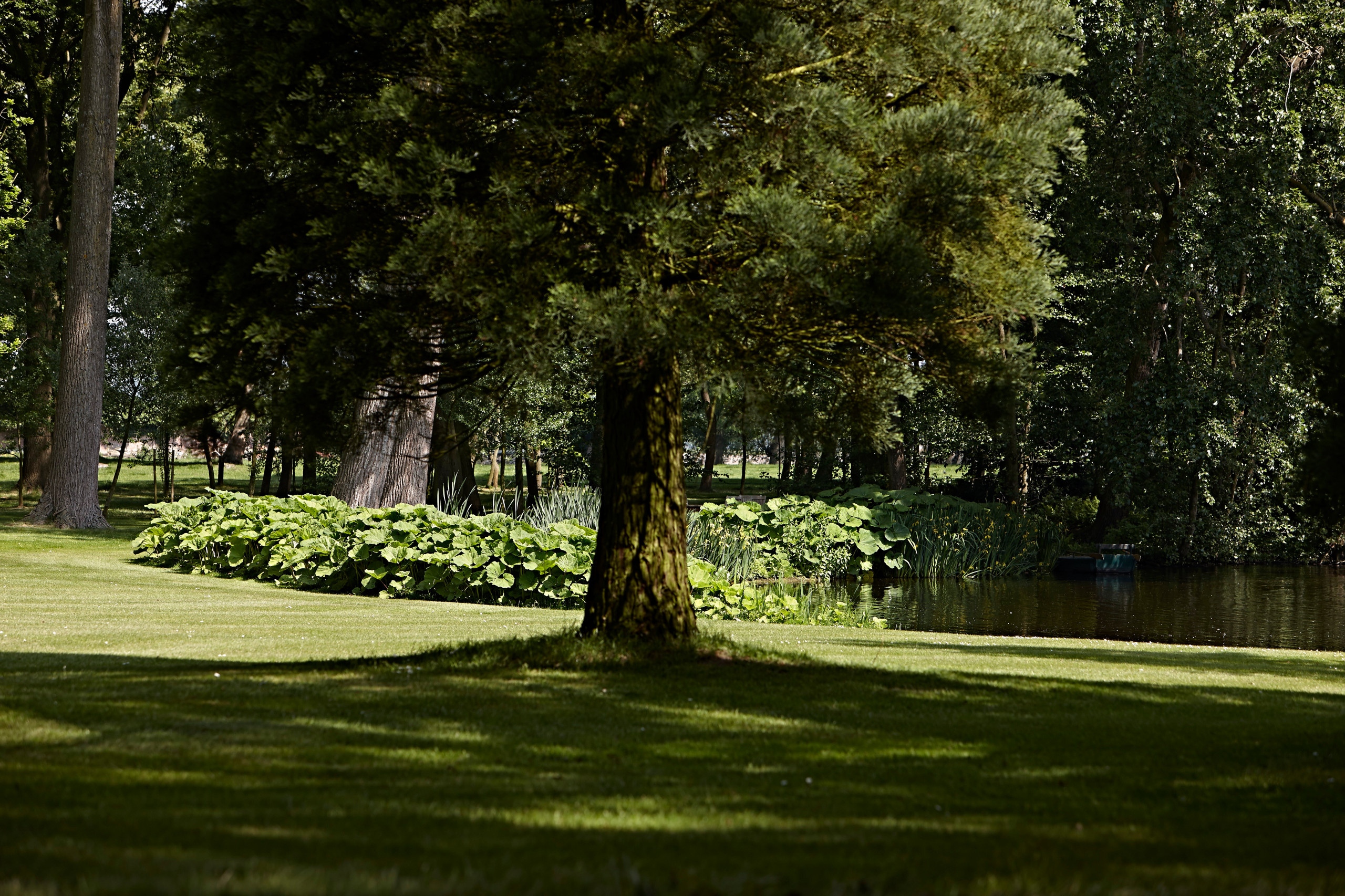 Houzz Бельгия: Сказочная жизнь в замке Спикер рядом с Брюгге