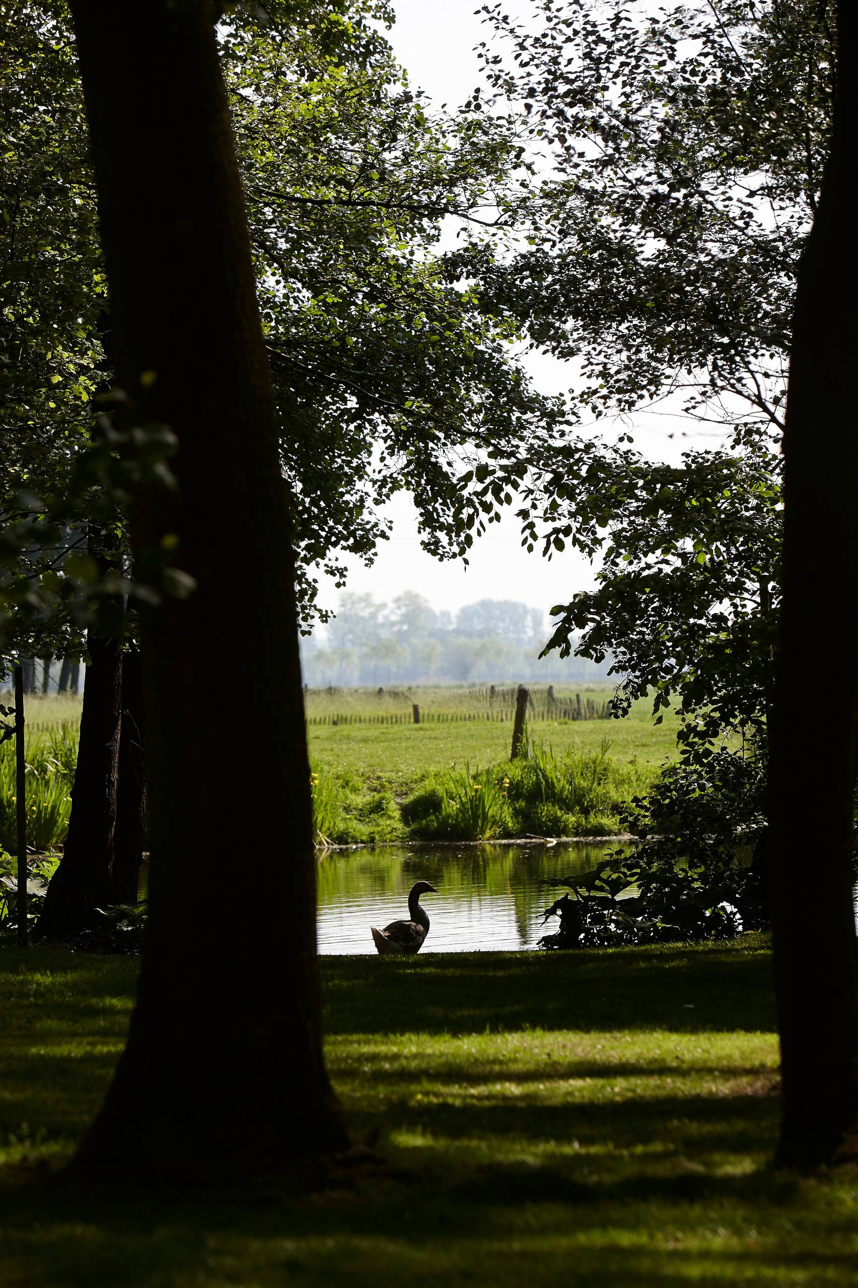 Houzz Бельгия: Сказочная жизнь в замке Спикер рядом с Брюгге