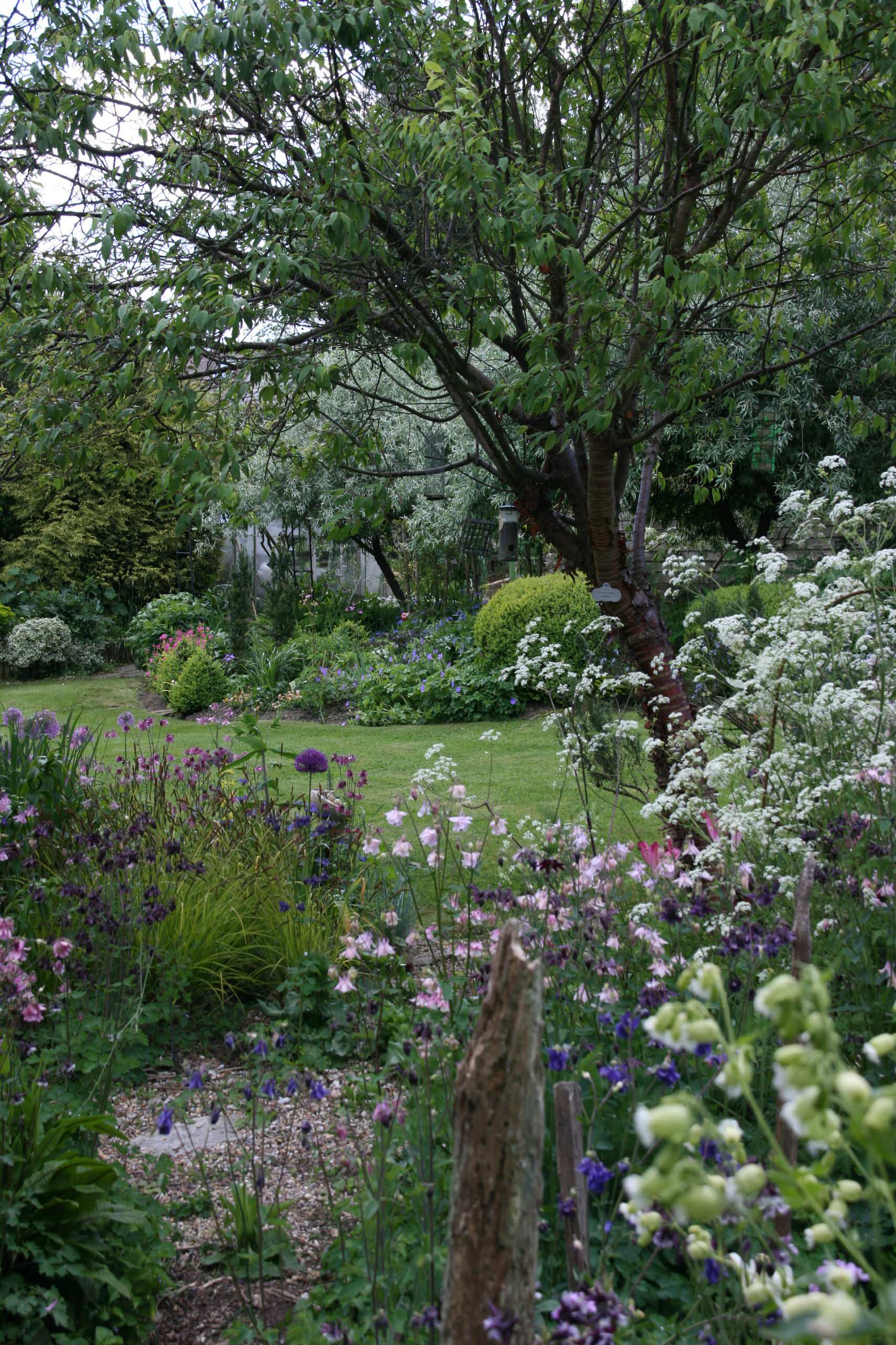 Климатические зоны: Что вам нужно про них знать