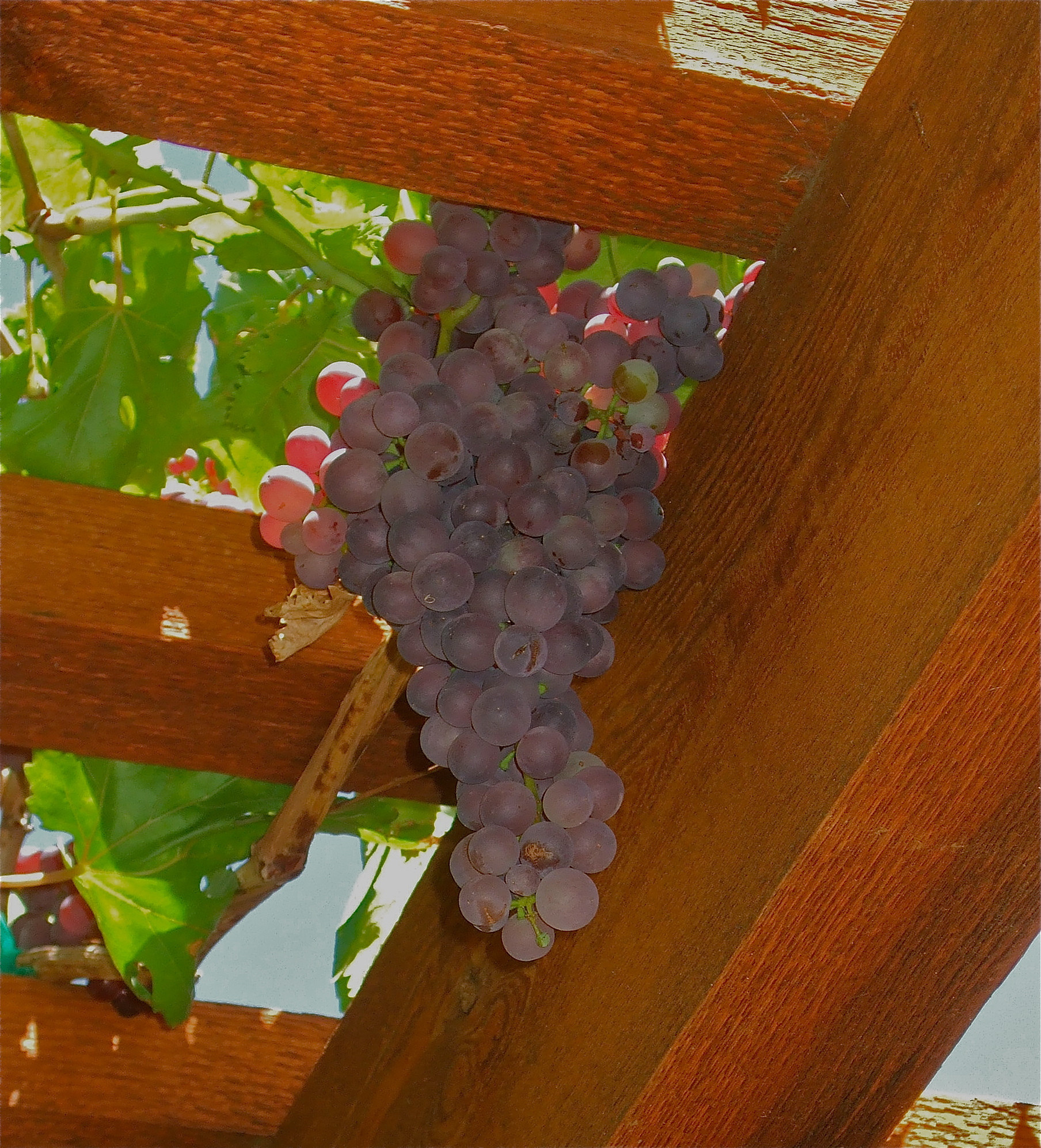 Климатические зоны: Что вам нужно про них знать