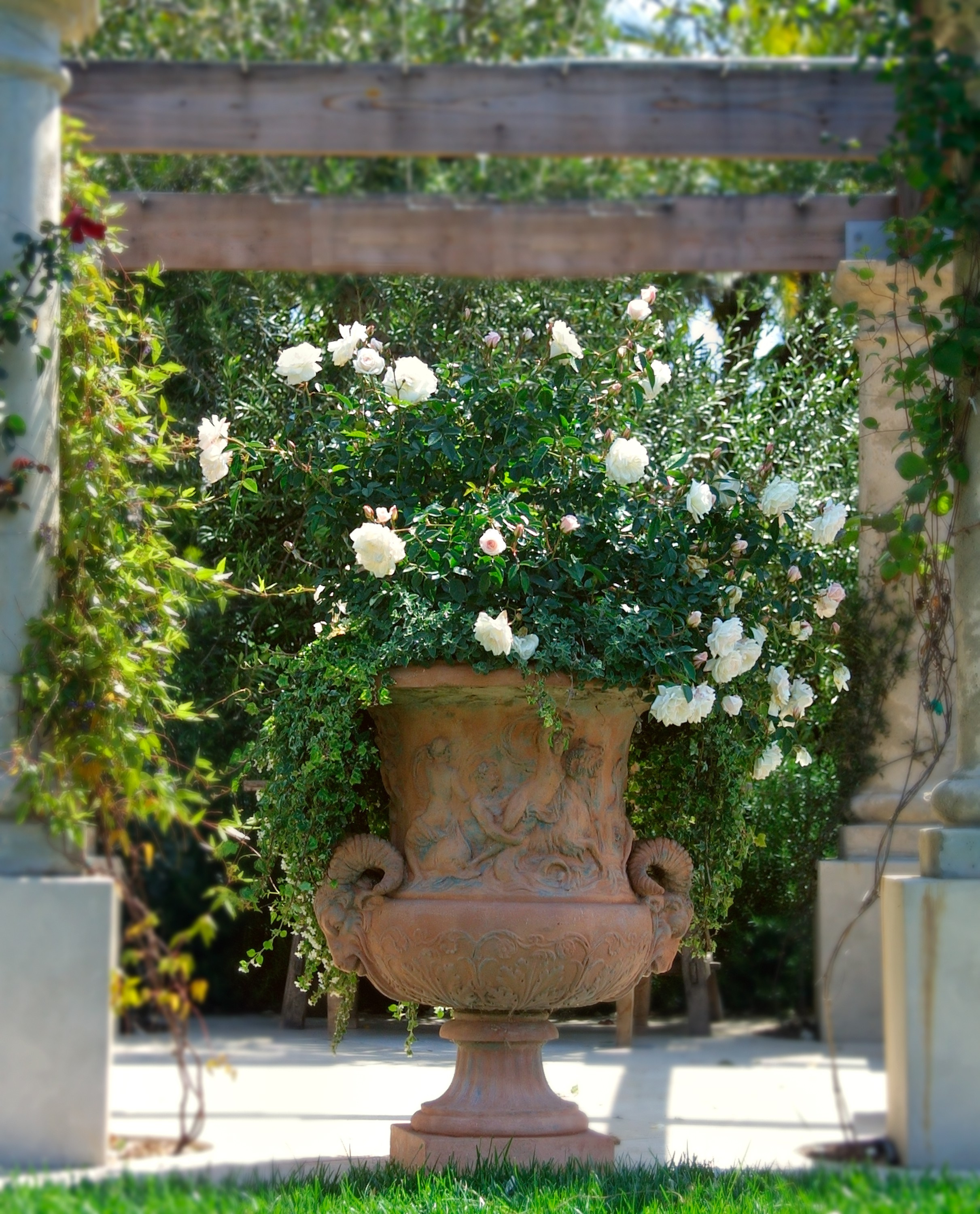 Климатические зоны: Что вам нужно про них знать