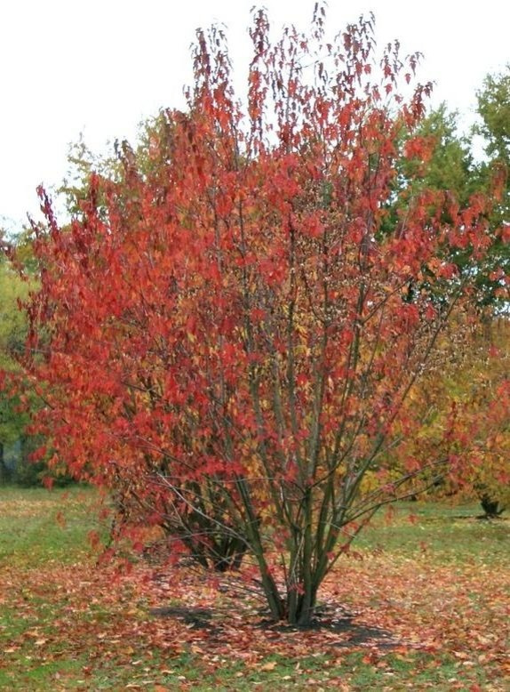 Климатические зоны: Что вам нужно про них знать