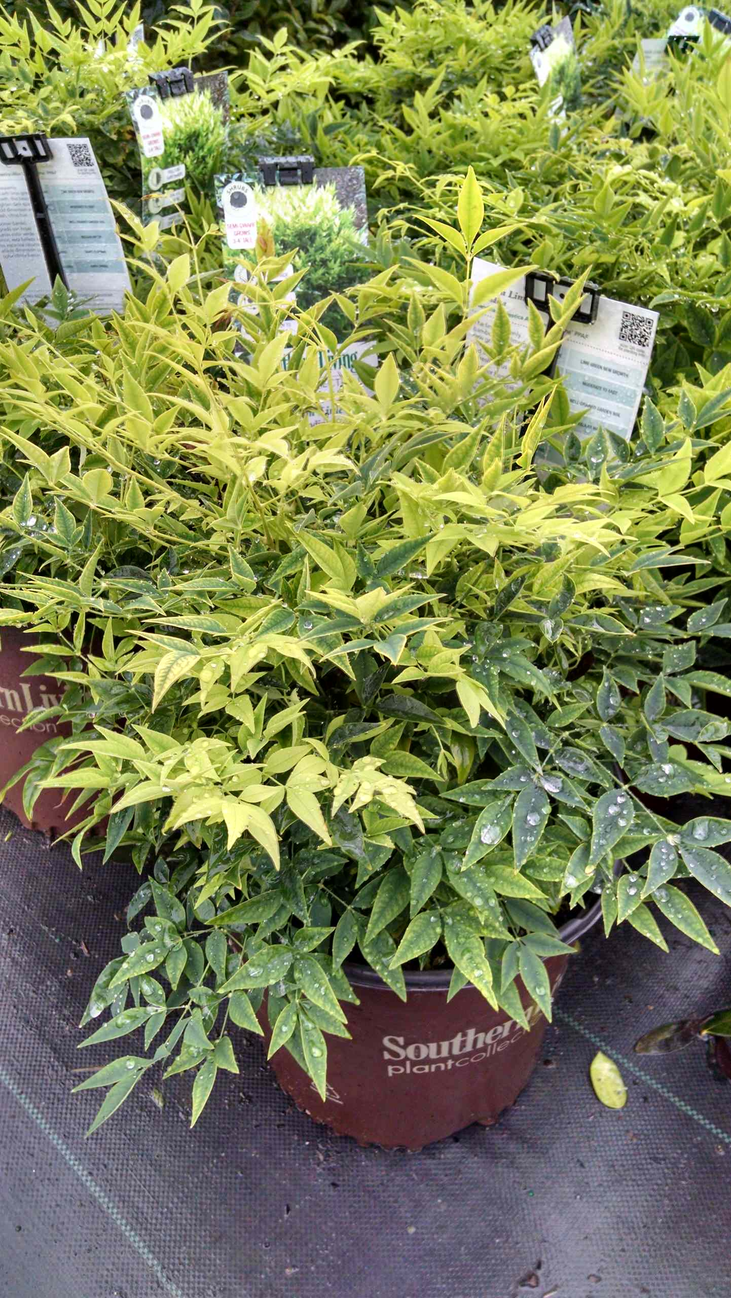 Климатические зоны: Что вам нужно про них знать