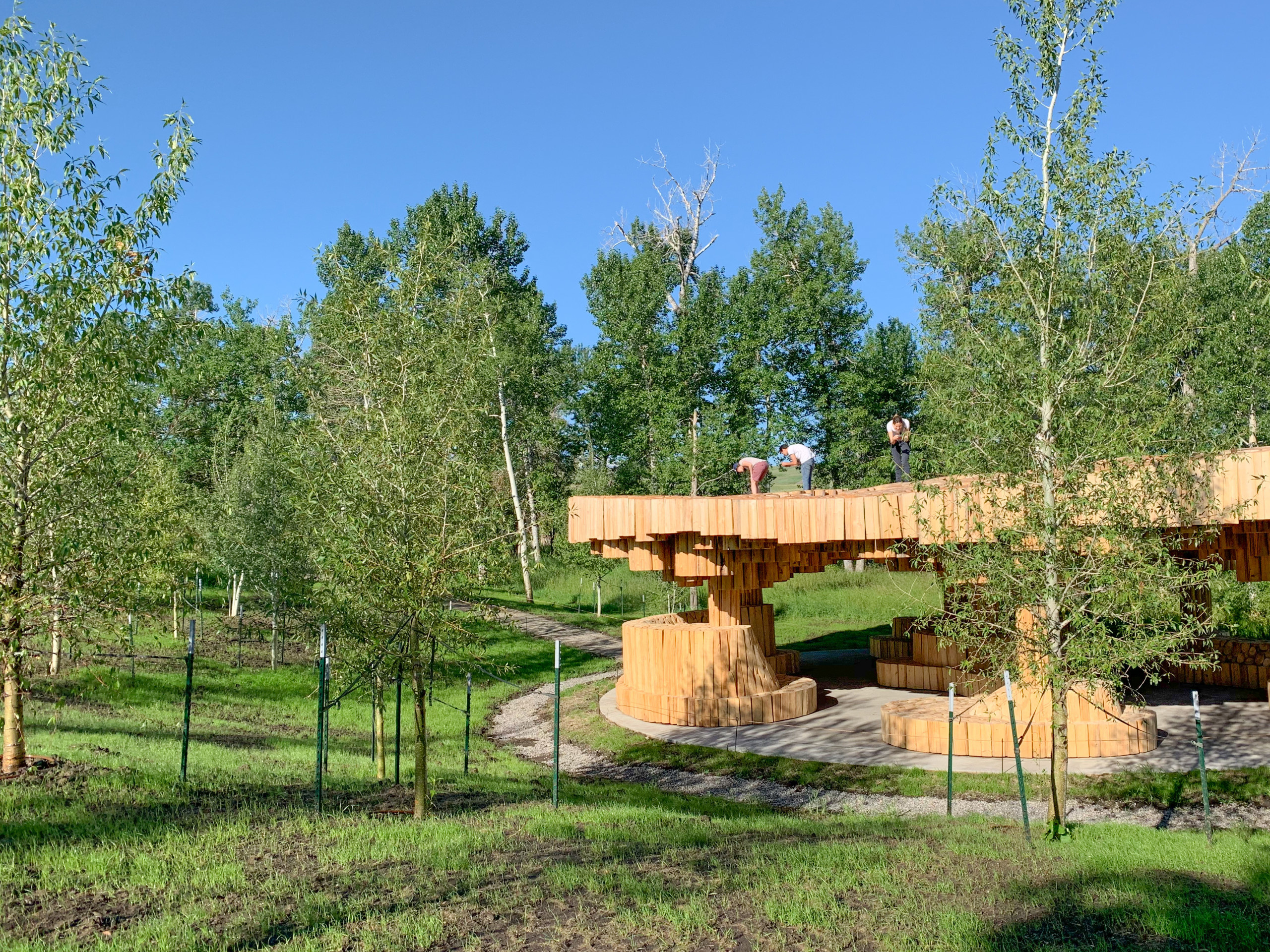 Архитектура: Лауреат Притцкеровской премии 2022 — Франсис Кере