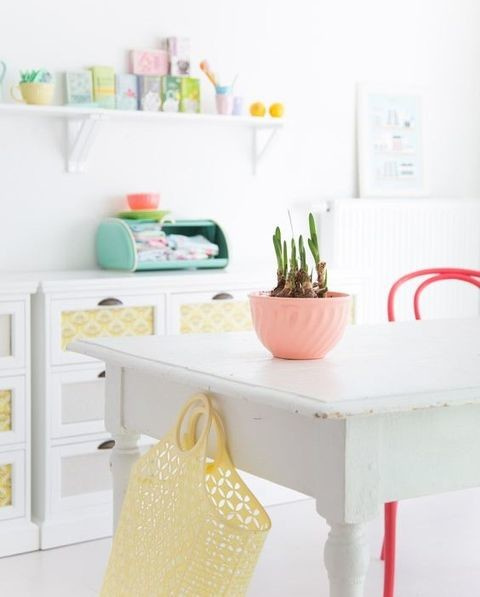 Растение месяца: Тюльпан на подоконнике к 8 Марта