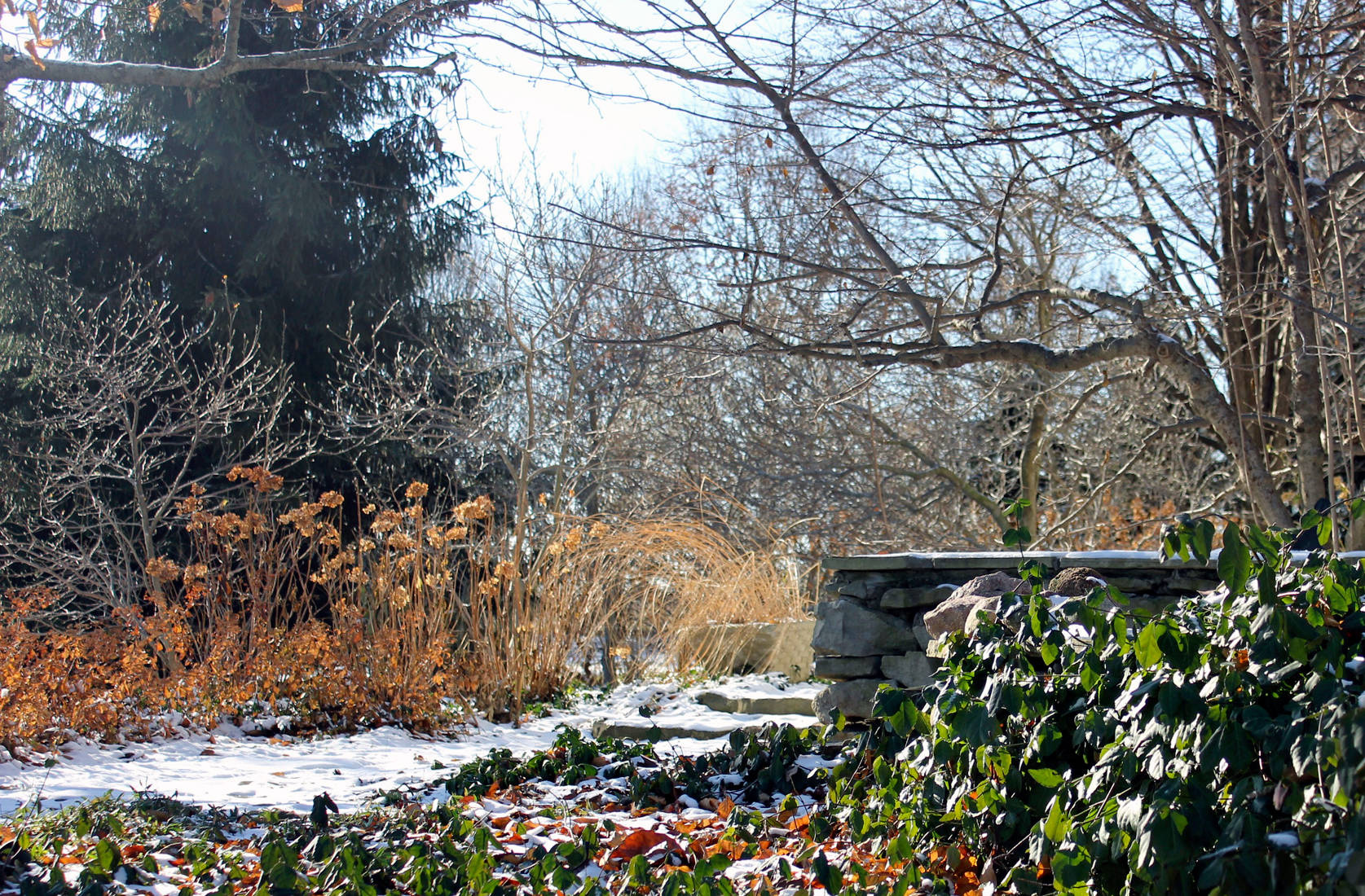 Календарь на ноябрь: Между осенью и зимой