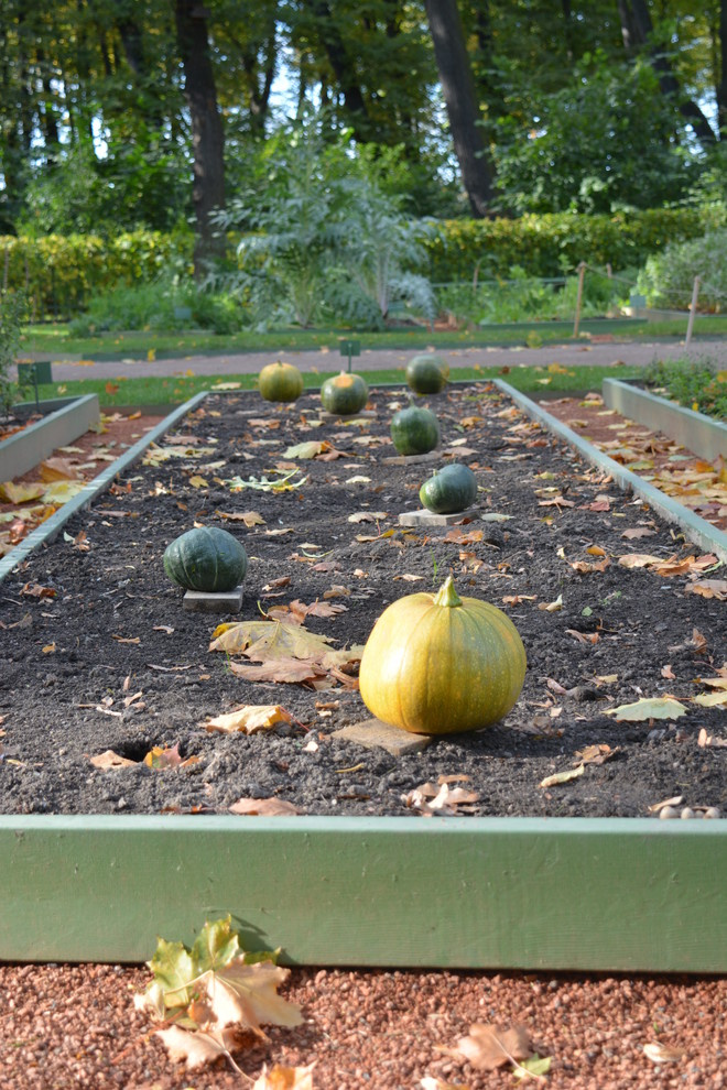 Календарь на ноябрь: Между осенью и зимой