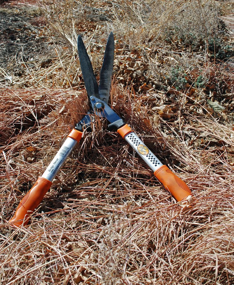 Календарь на ноябрь: Между осенью и зимой