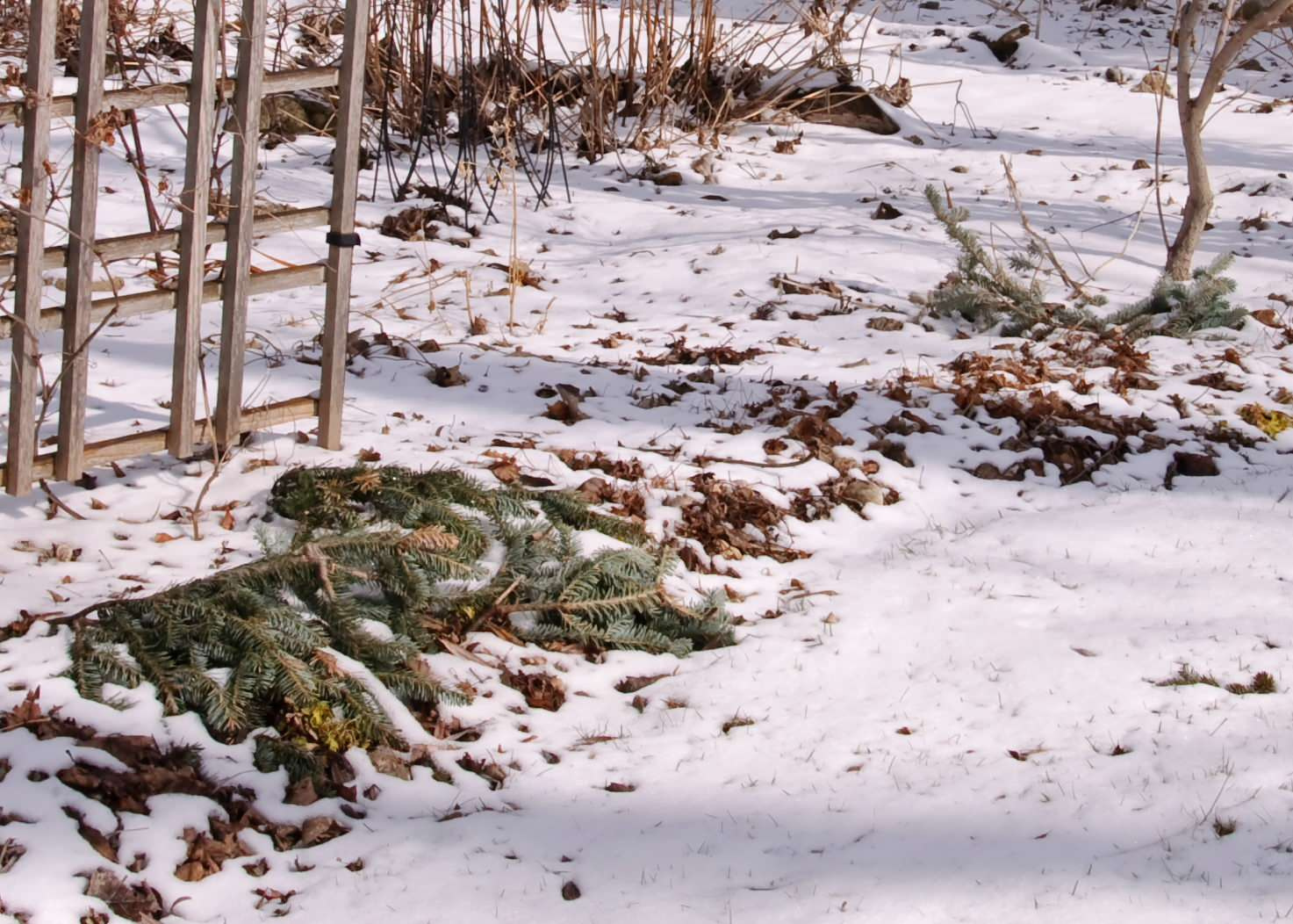 Календарь на ноябрь: Между осенью и зимой