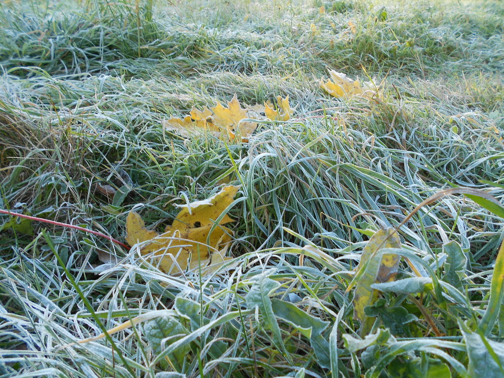 Календарь на ноябрь: Между осенью и зимой