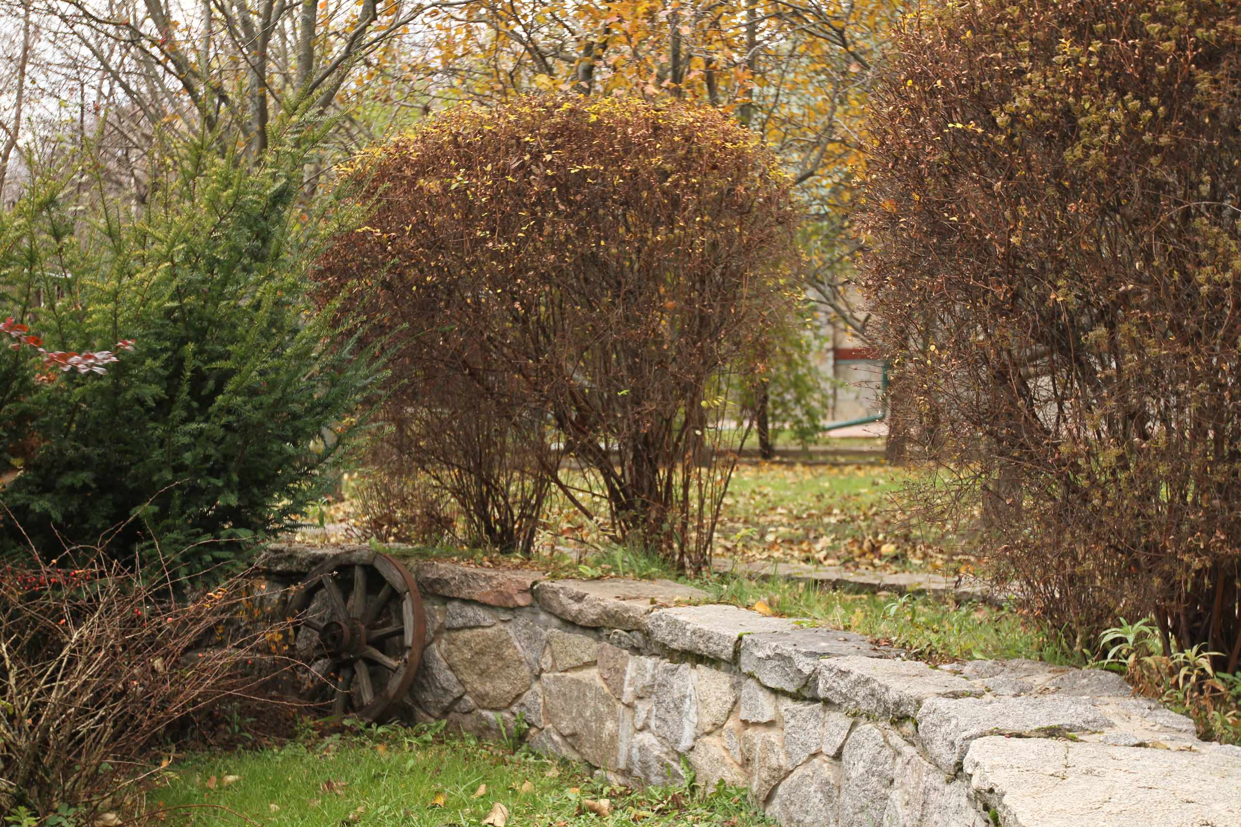 Календарь на ноябрь: Между осенью и зимой