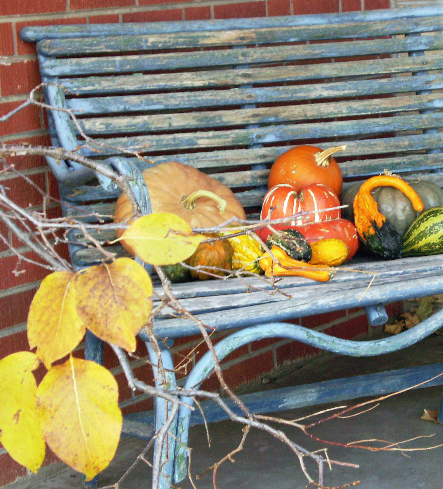 Вопрос: Как пережить сезонную депрессию за городом