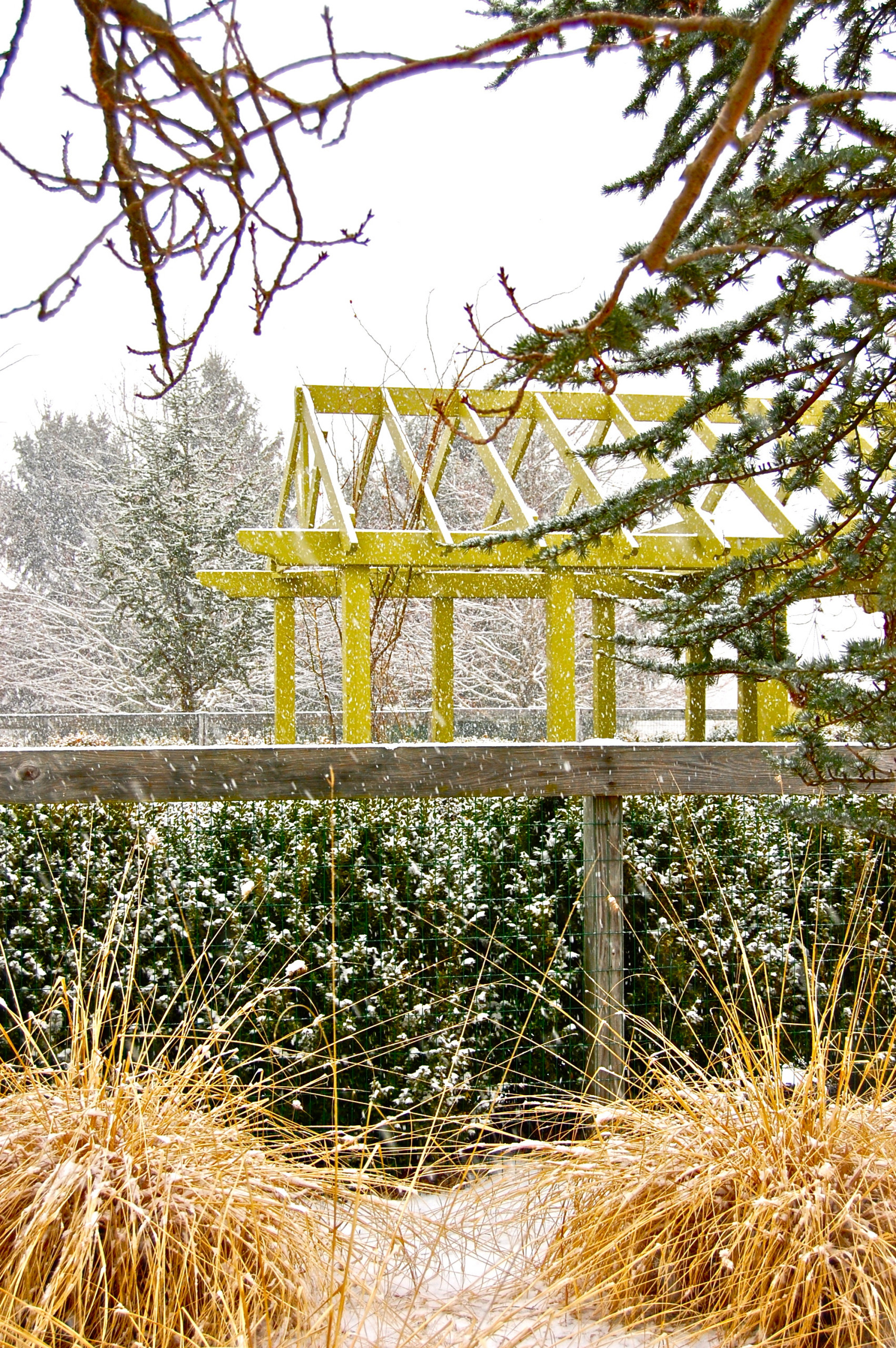 Календарь на ноябрь: Между осенью и зимой