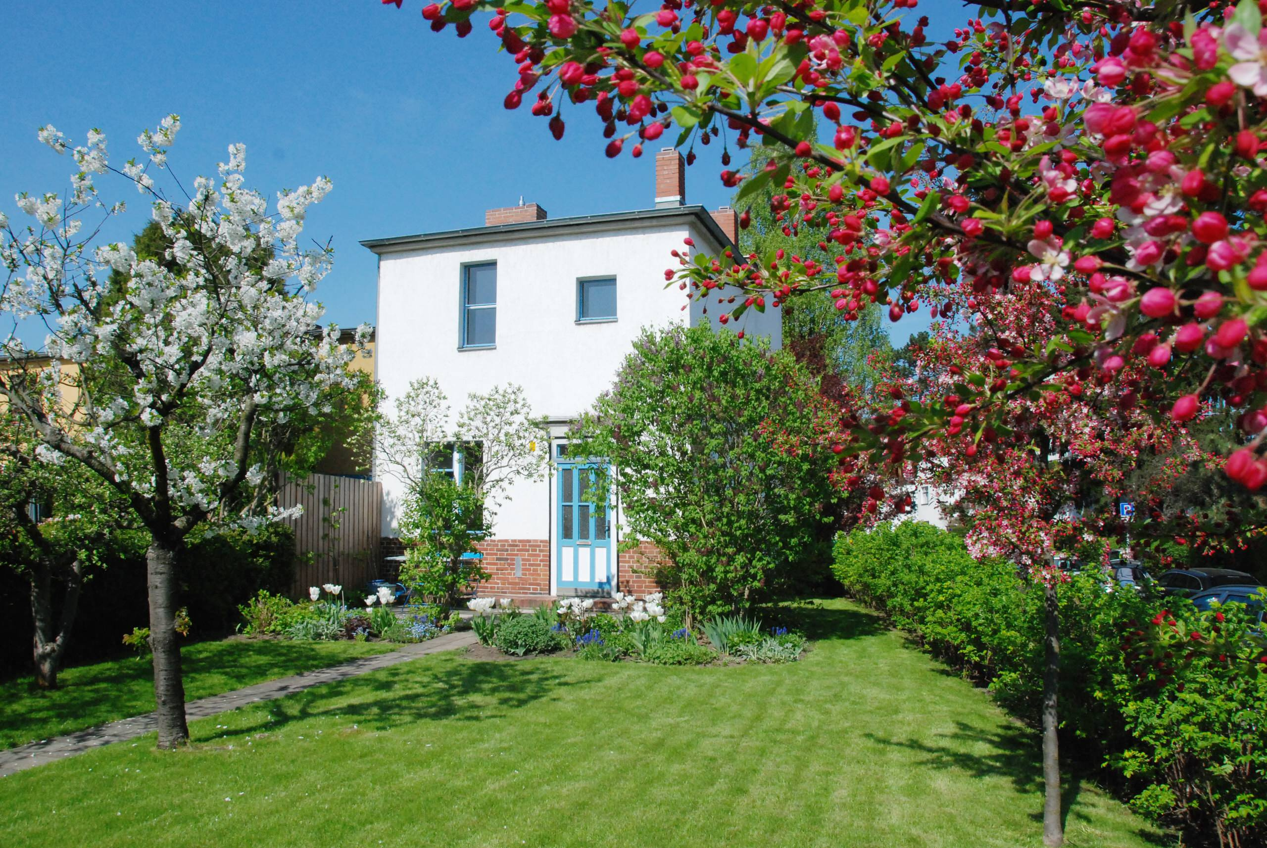 Физика фэншуй, или Стоит ли устраивать на кухне остров с плитой