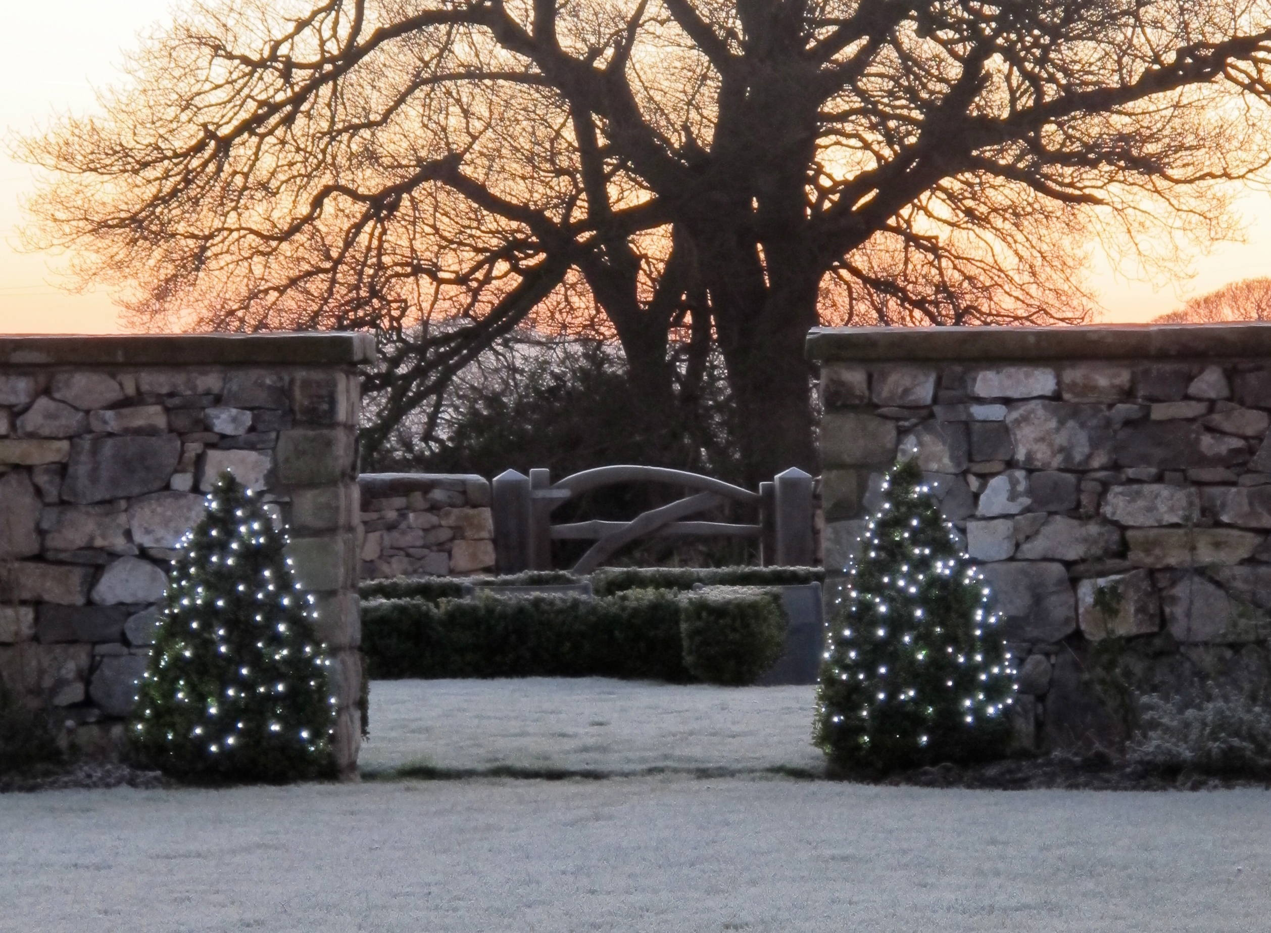 Новый год: Преимущества и недостатки LED-гирлянд