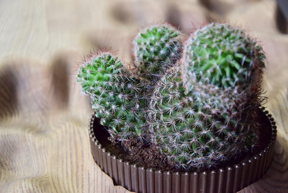 Портрет: Столешница-пустыня и кресла-хамелеоны Екатерины Любимовой