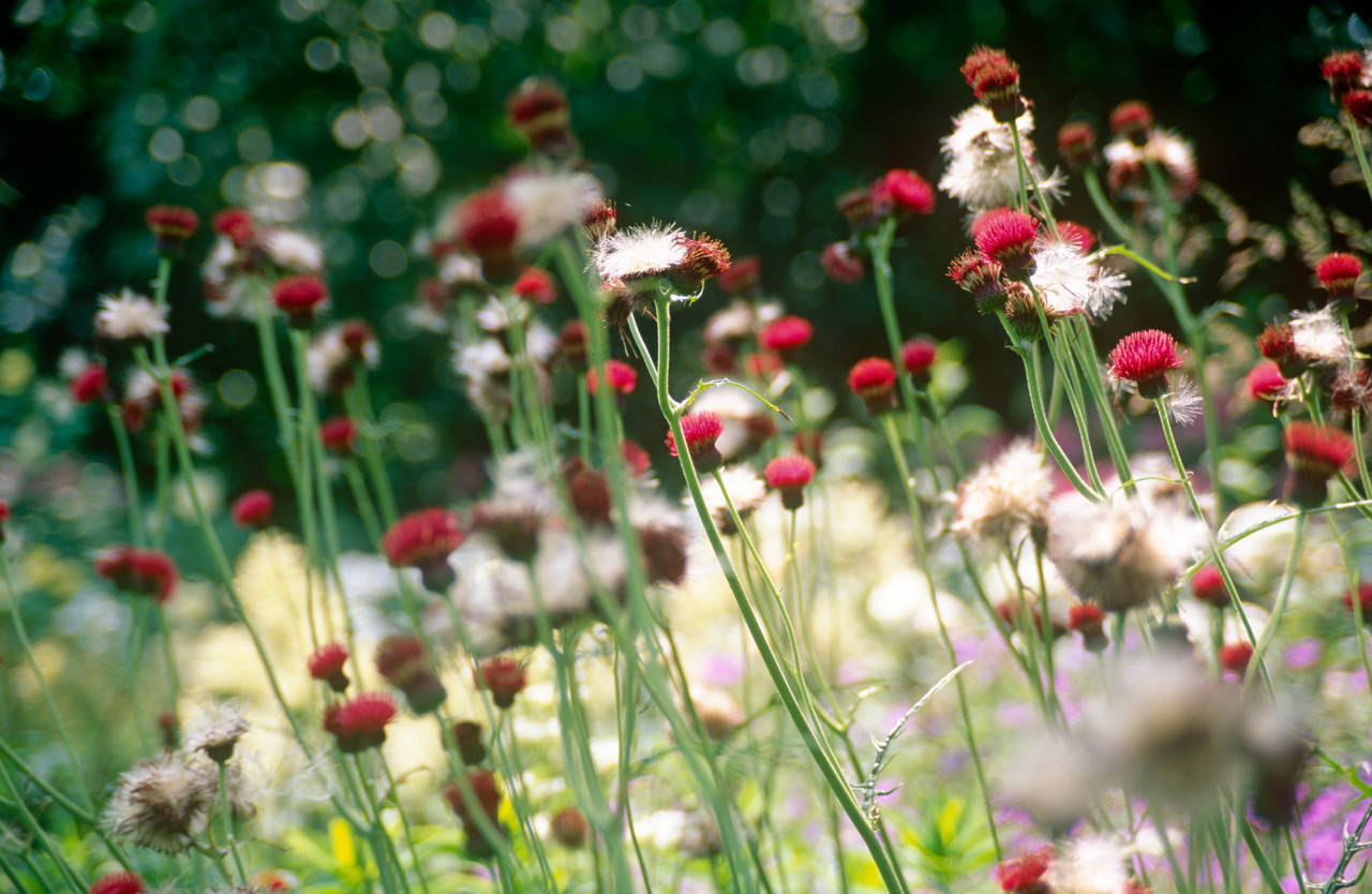 Как взглянуть на мир цвета другими глазами?