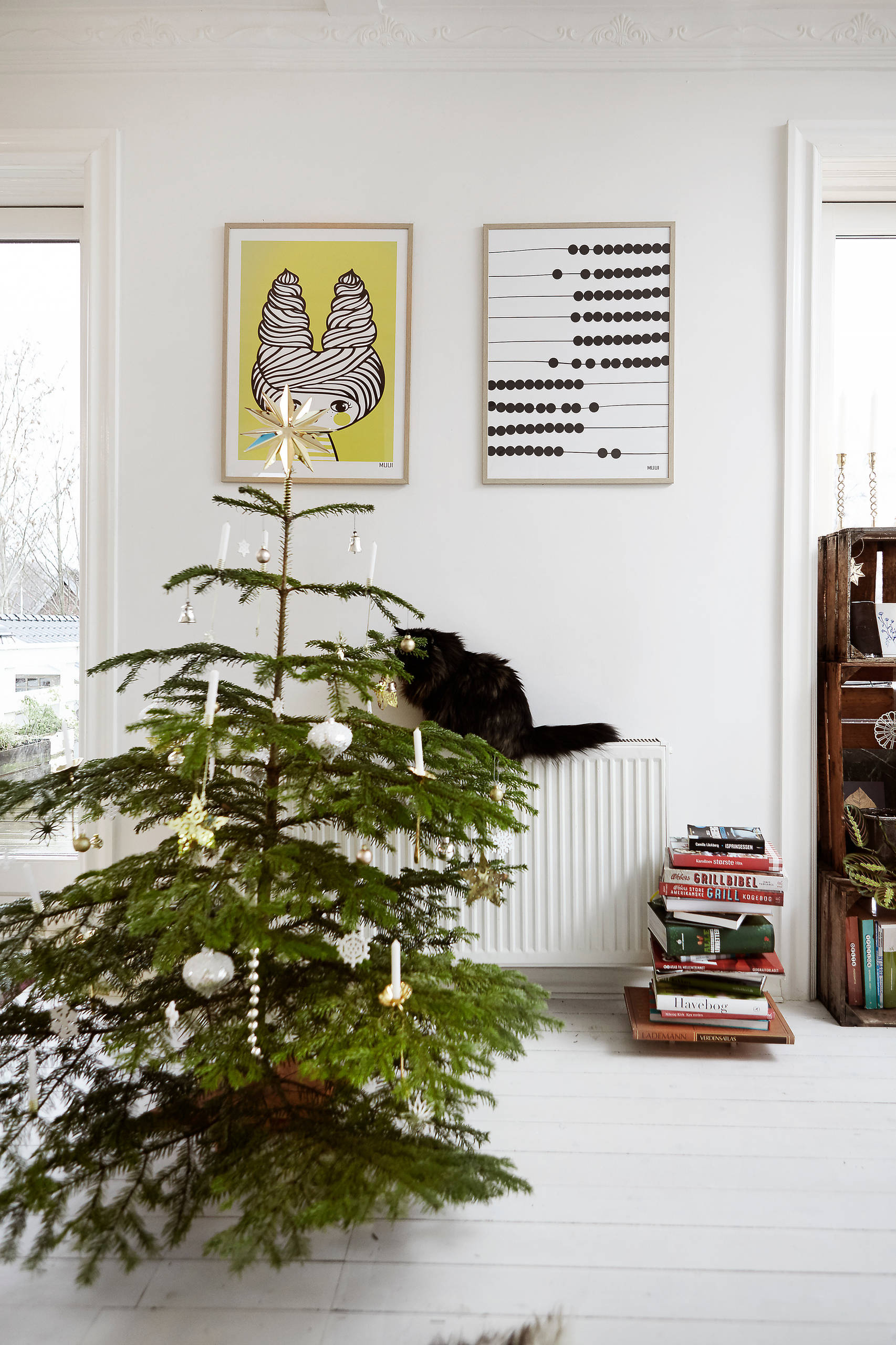 Фотоохота: 38 новогодних ёлок со всего света