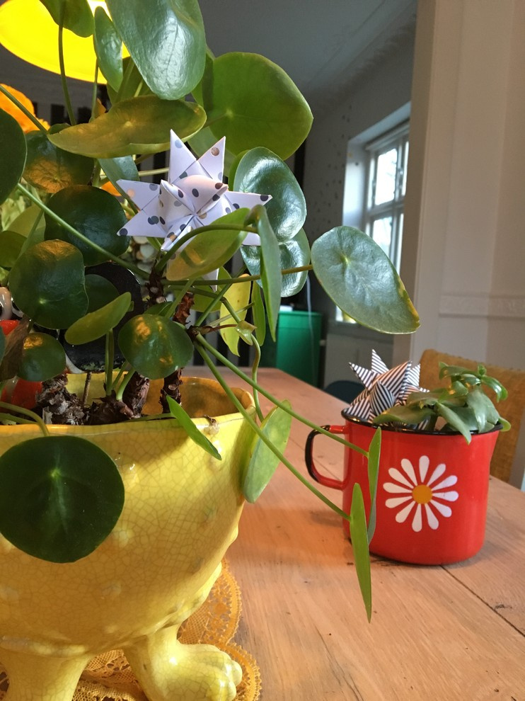 Эффект присутствия: Чем дополнить или заменить елку