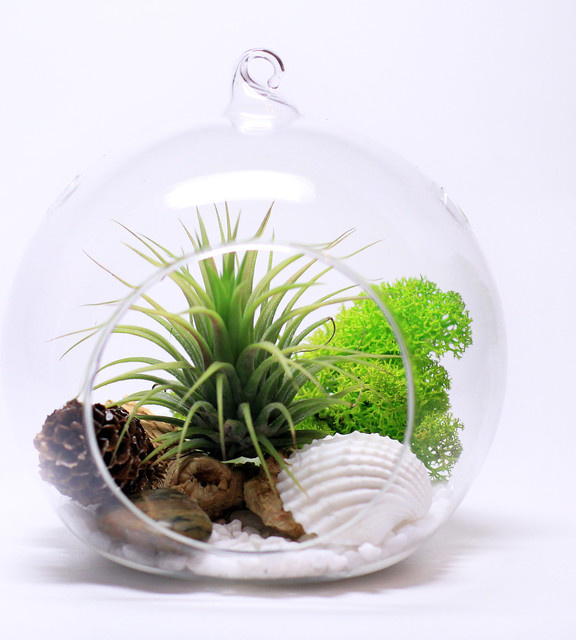 Эффект присутствия: Чем дополнить или заменить елку